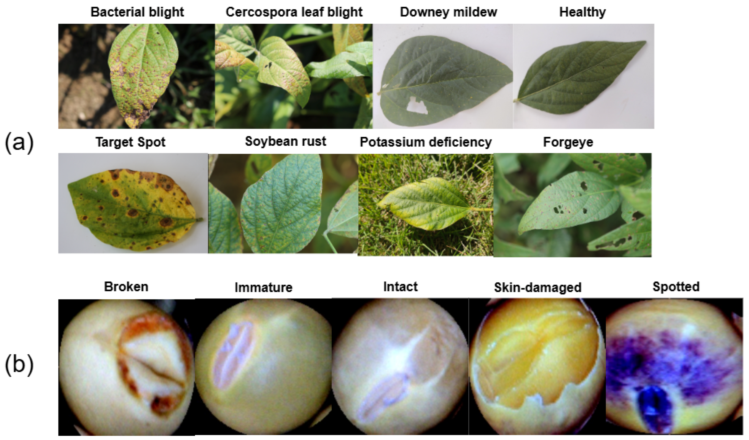 Computers 14 00197 g002