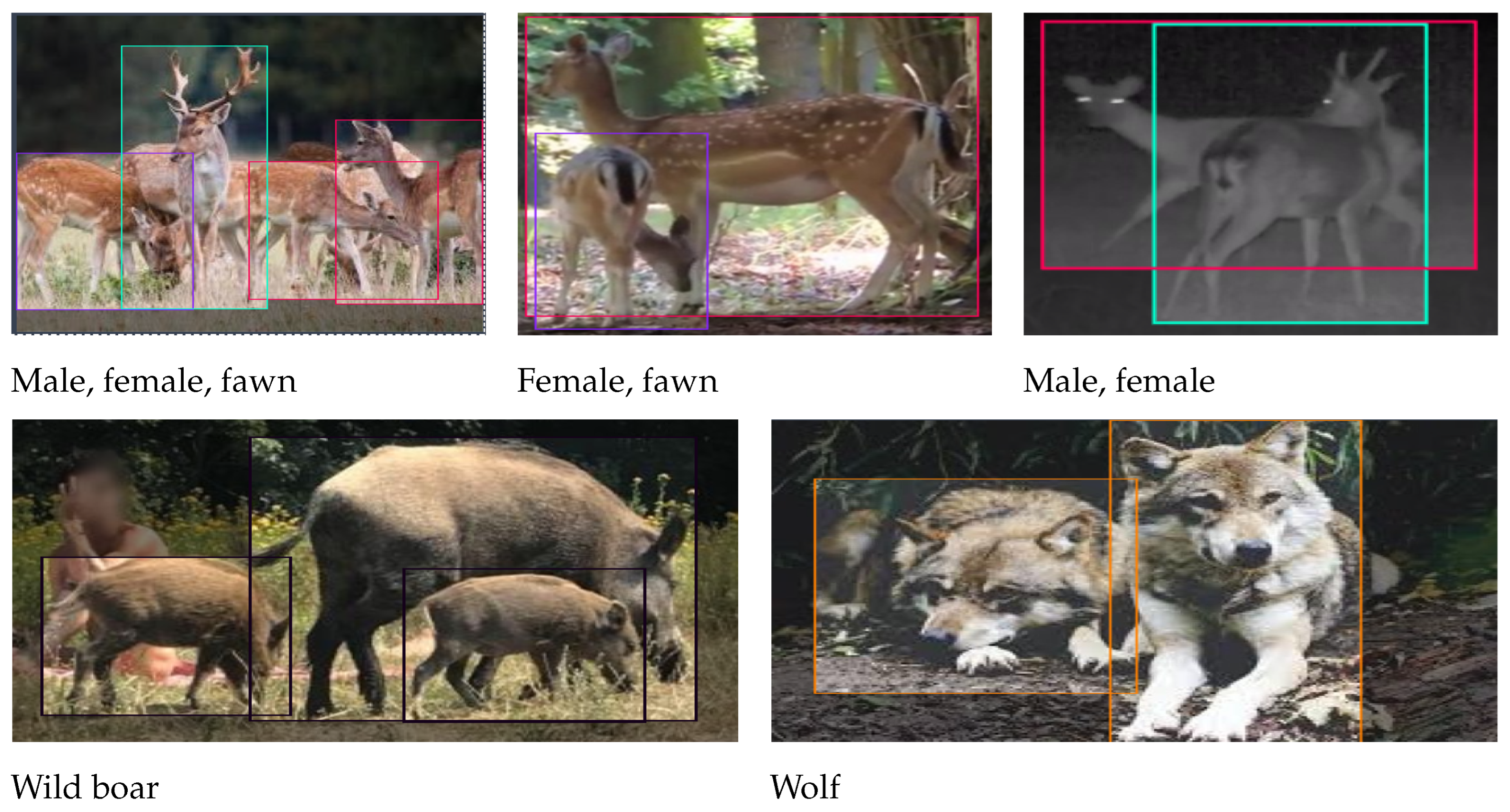 Computers 14 00307 g002