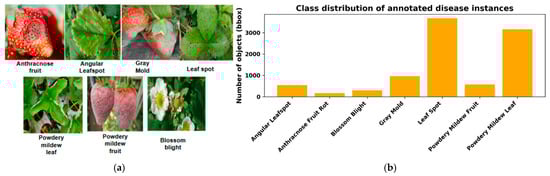 Examples and distribution of strawberry disease classes in the detection dataset: (a) example images for the seven disease classes; (b) class distribution of annotated disease instances.
