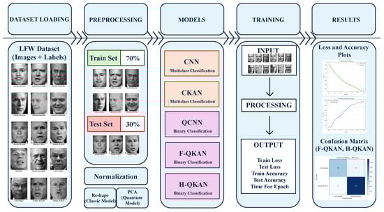 Schematic diagram summarizing the flow of the methodology.