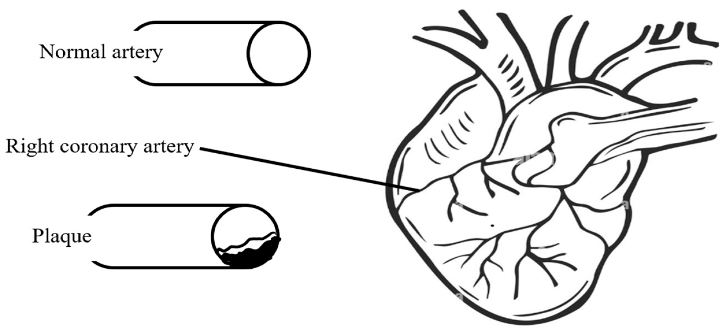 Computers 15 00102 g001