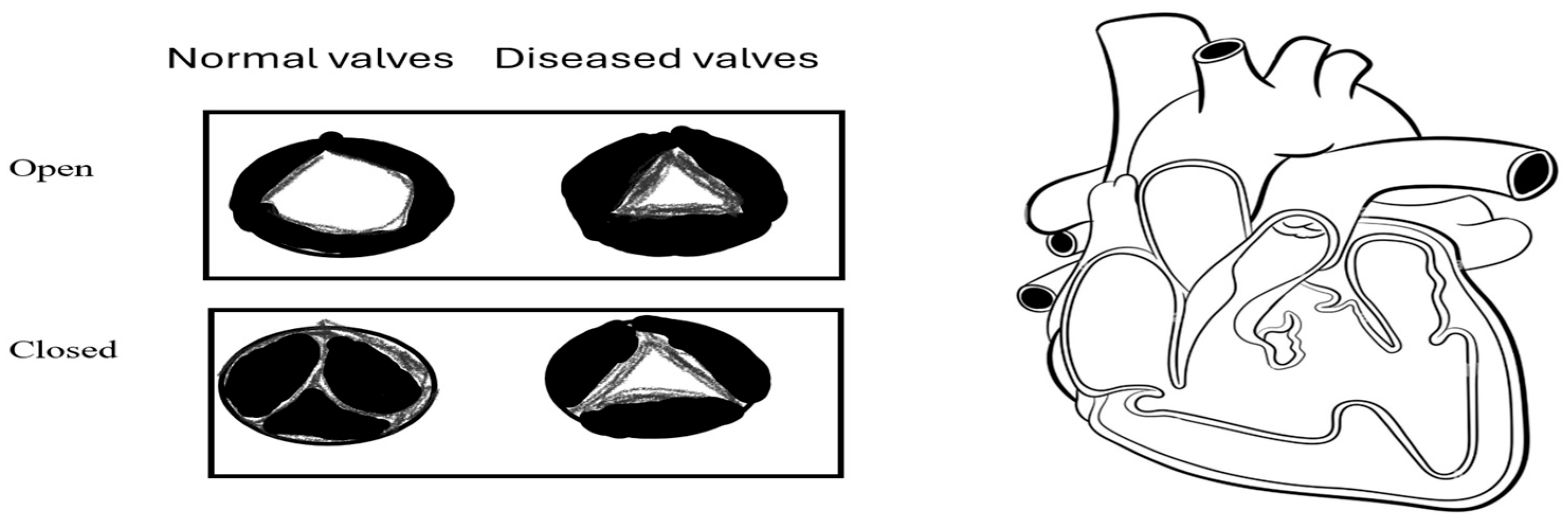 Computers 15 00102 g004