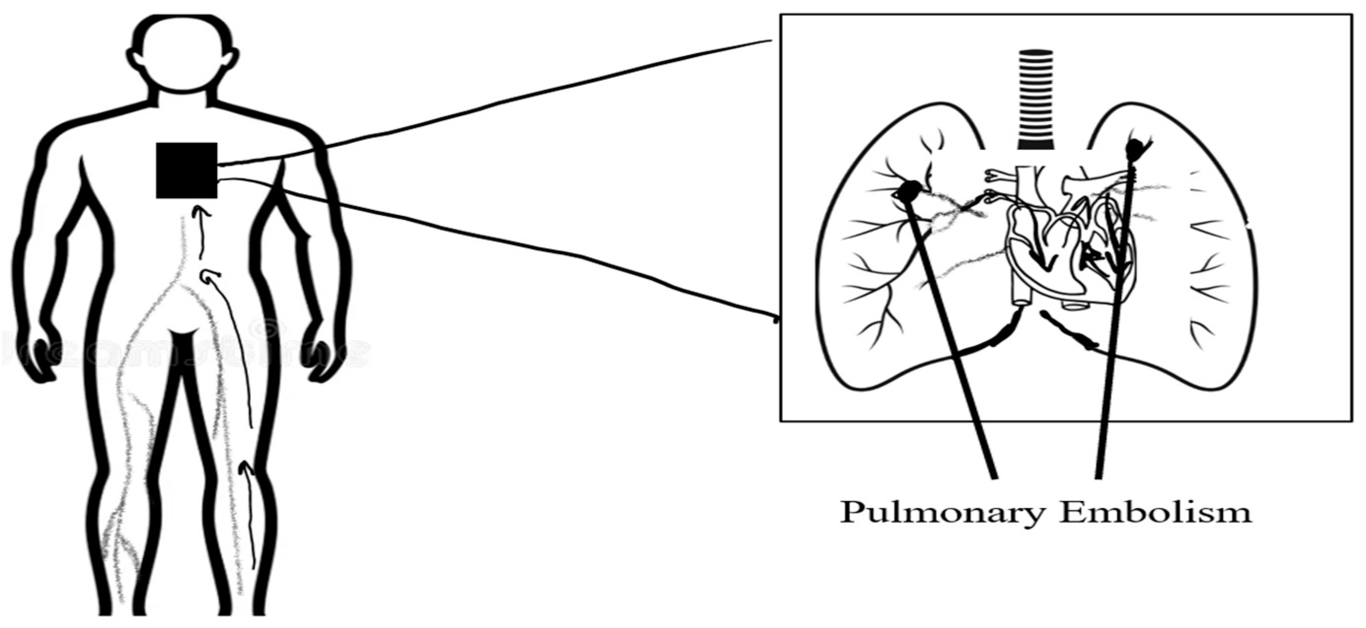 Computers 15 00102 g005