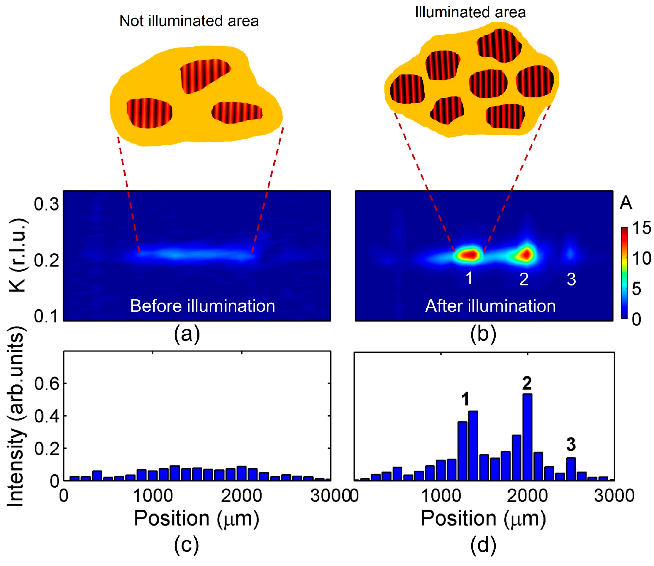 Condensedmatter 02 00026 g004