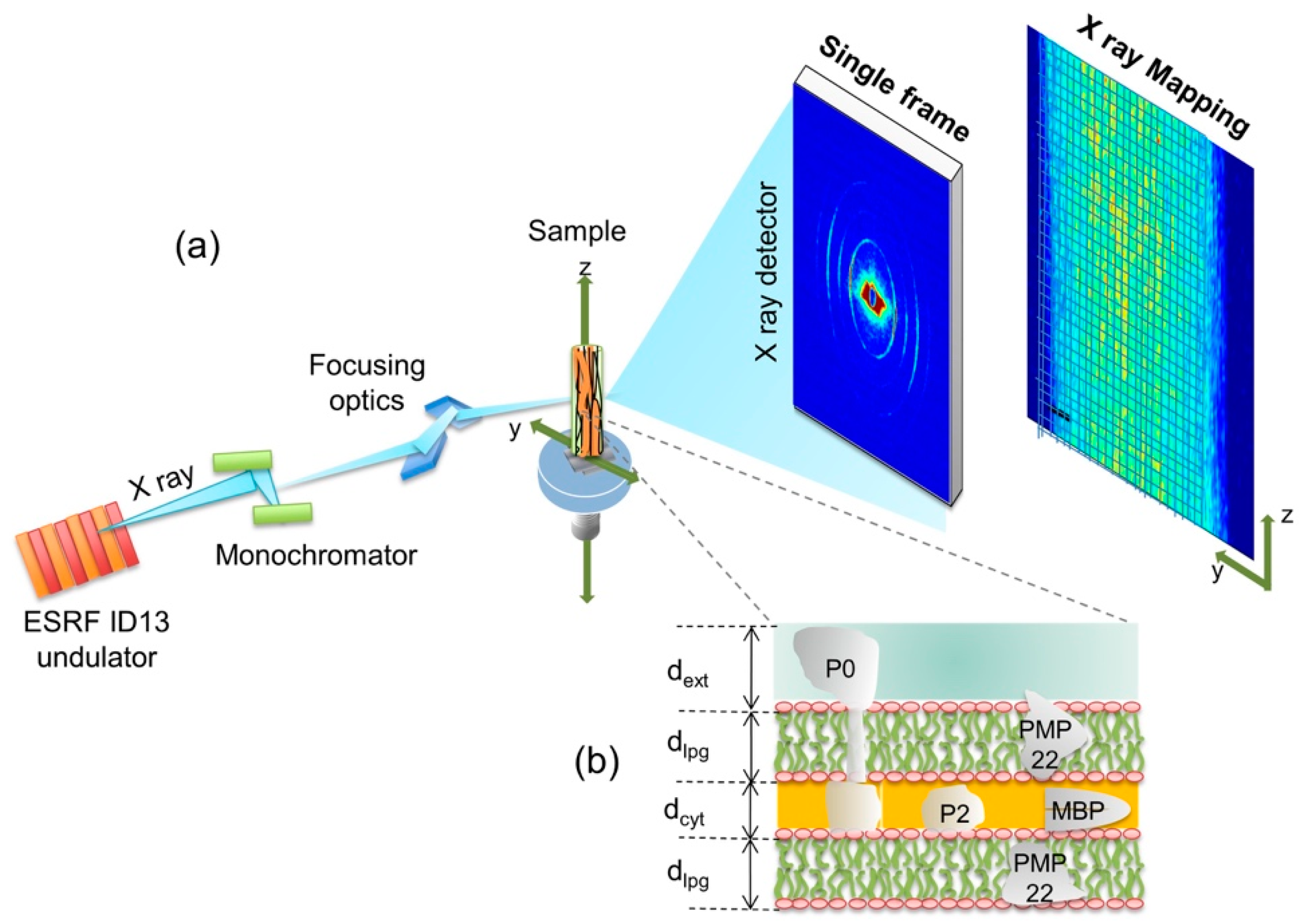 Condensedmatter 02 00029 g001