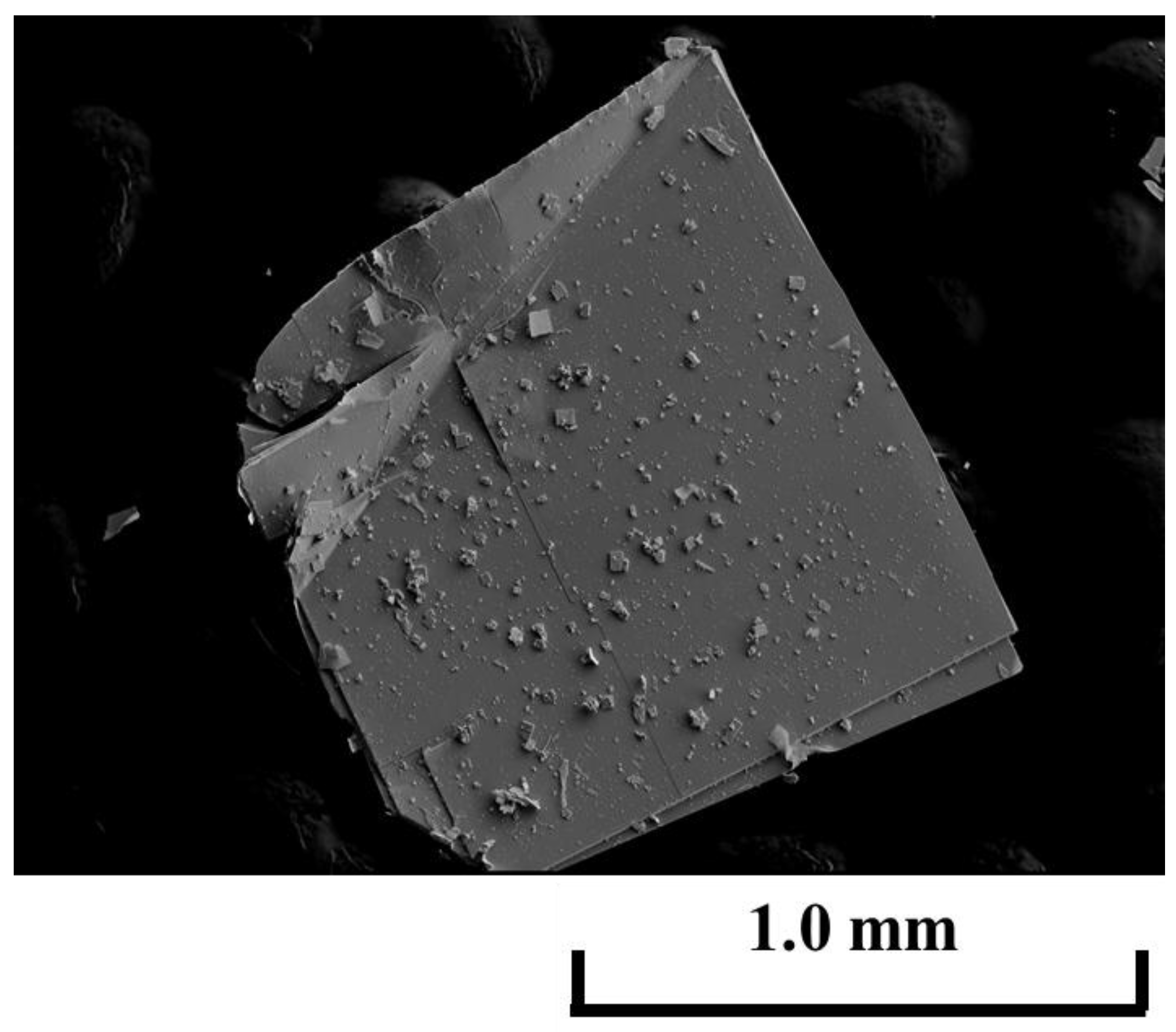 Condensedmatter 02 00032 g005