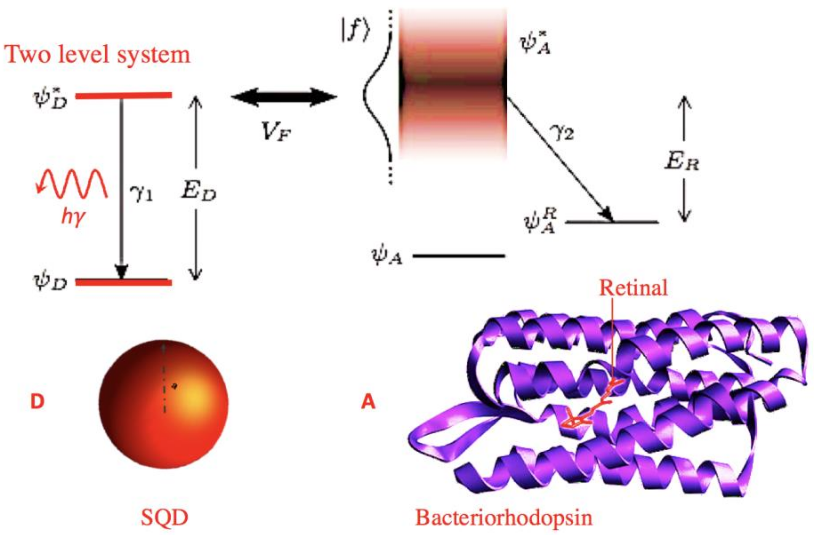 Condensedmatter 03 00010 g001