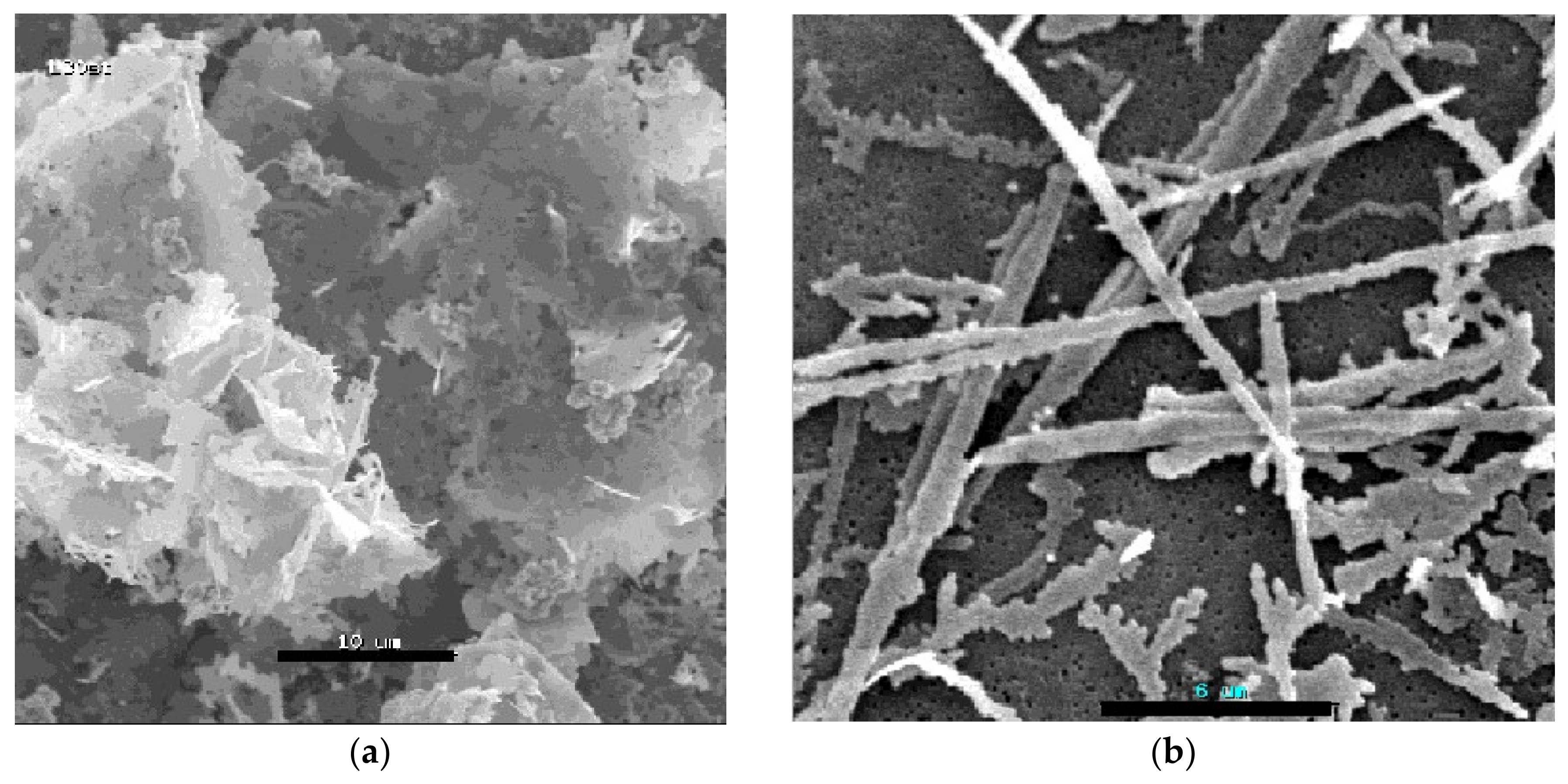 Condensedmatter 03 00013 g001a
