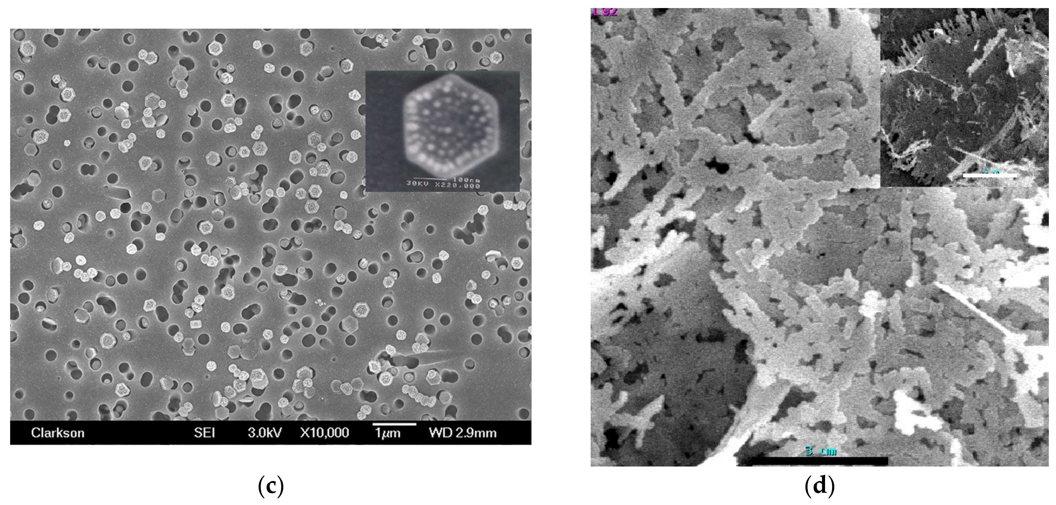 Condensedmatter 03 00013 g001b