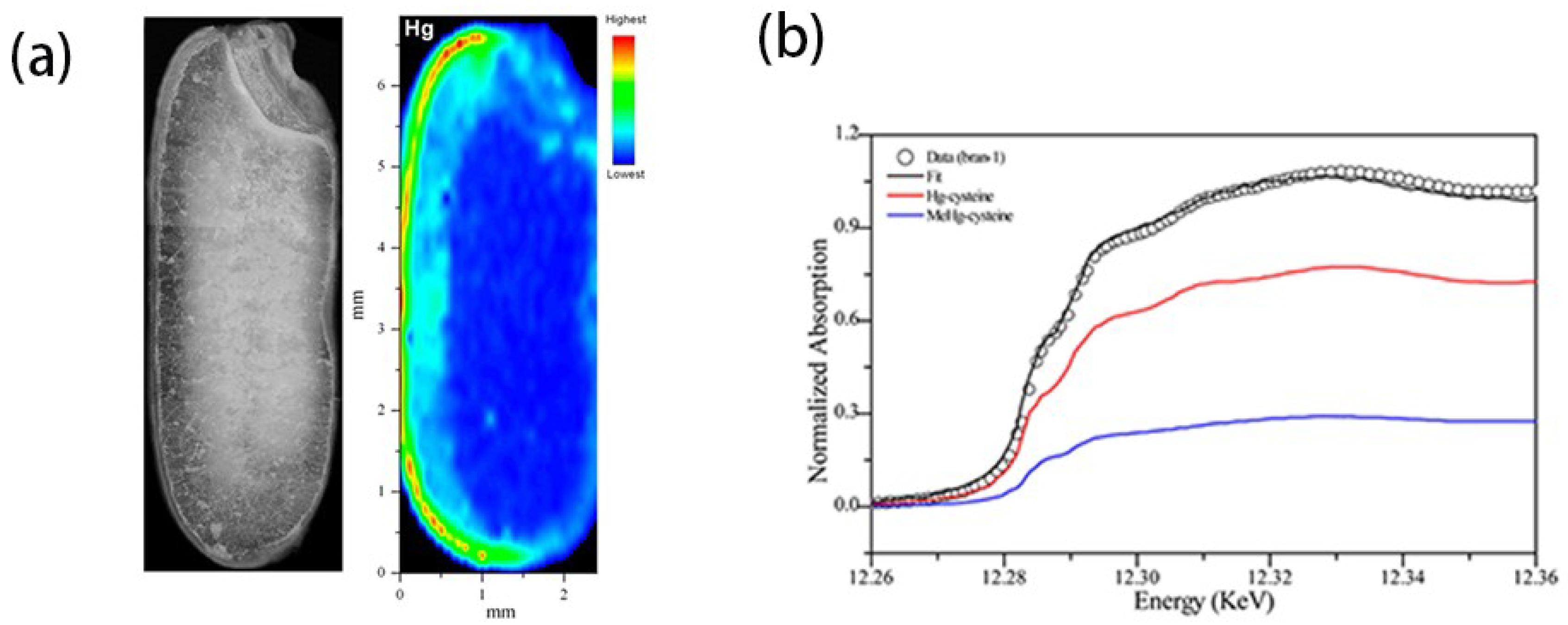 Condensedmatter 03 00029 g003