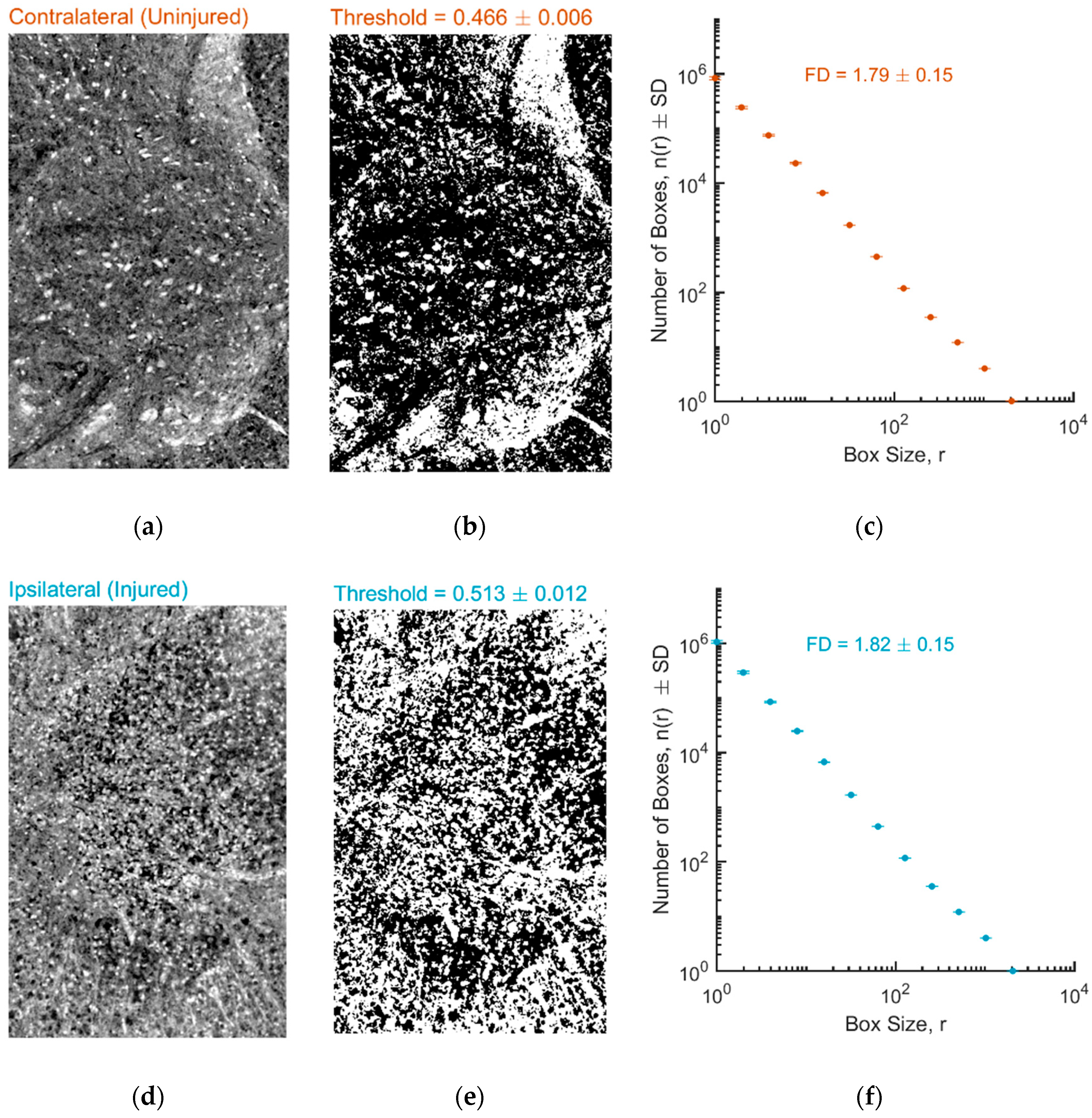 Condensedmatter 03 00048 g002
