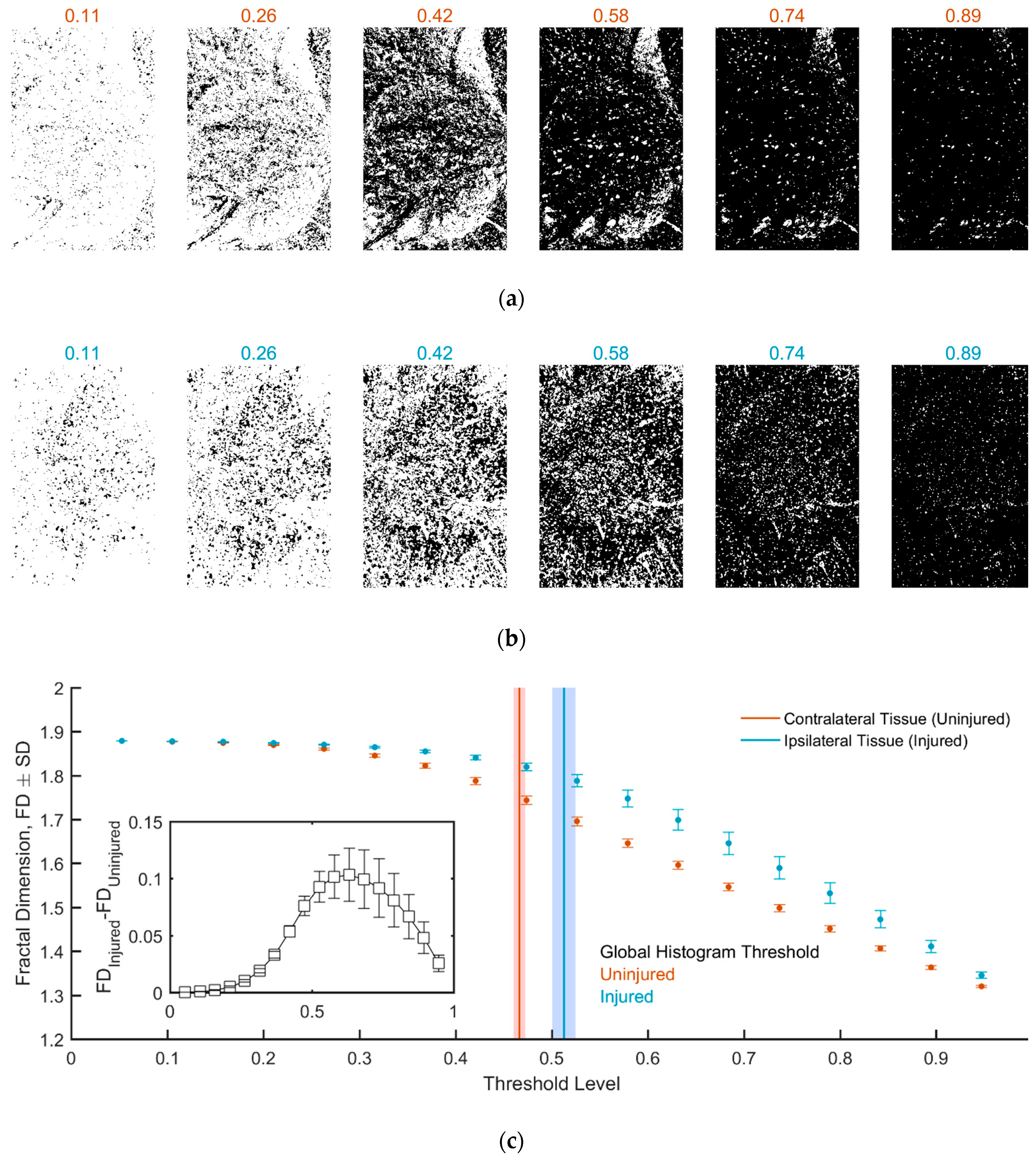 Condensedmatter 03 00048 g003