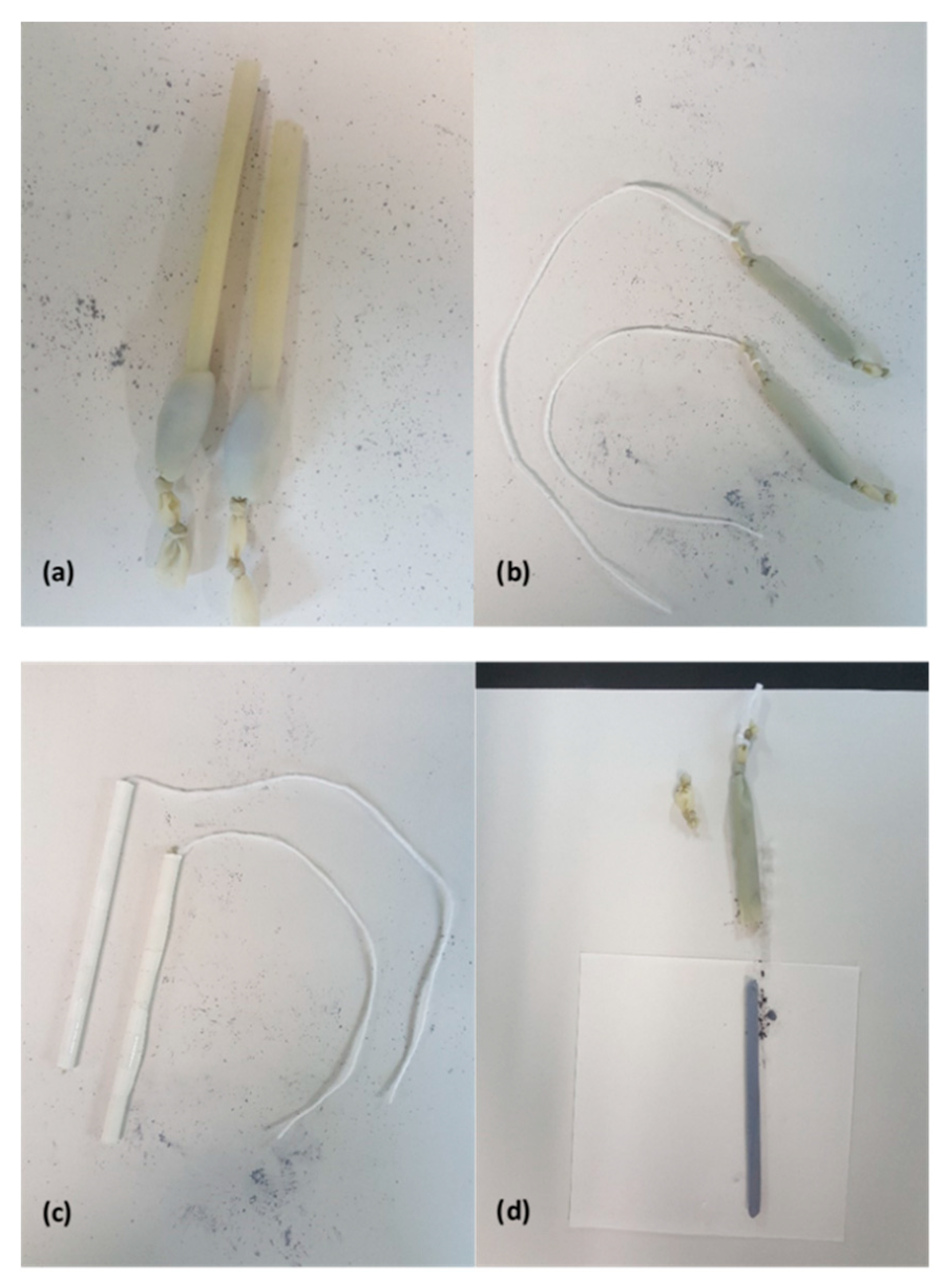 Condensedmatter 04 00006 g001