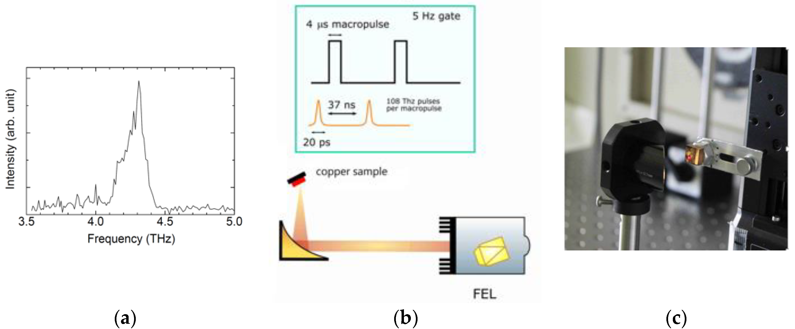 Condensedmatter 05 00016 g001