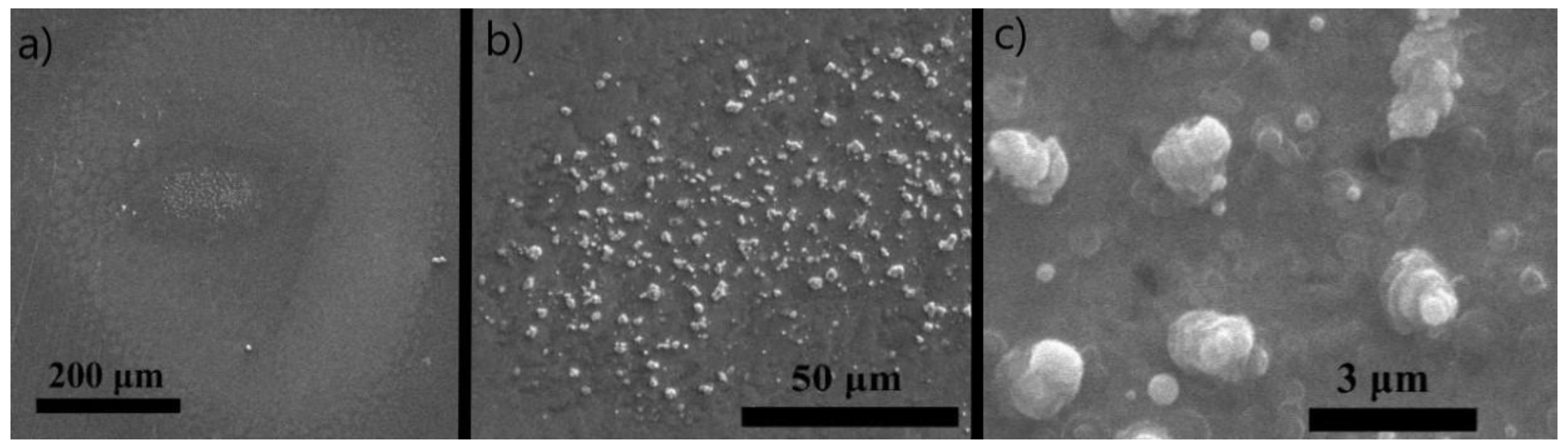 Condensedmatter 05 00016 g006