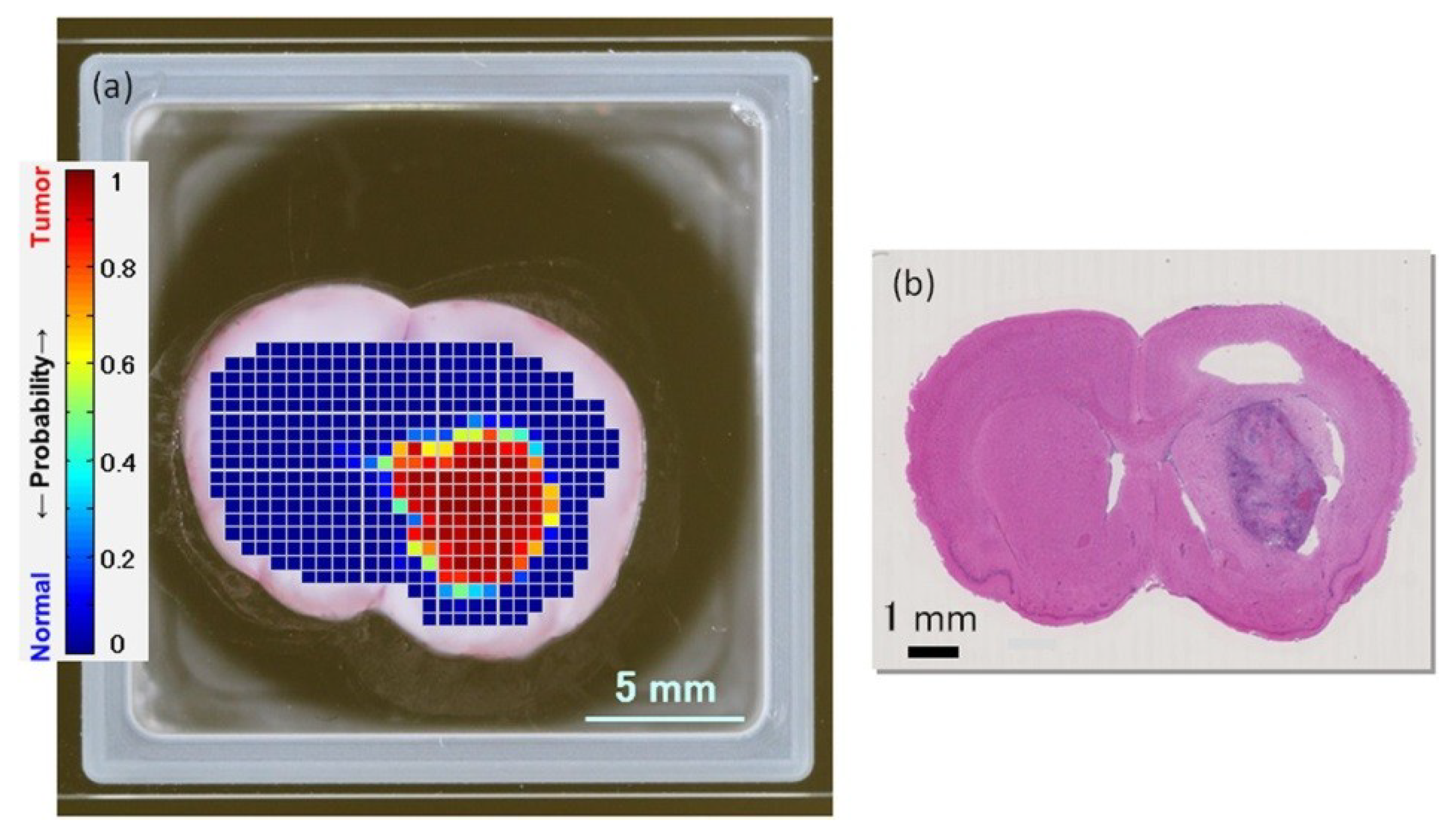 Condensedmatter 05 00025 g008