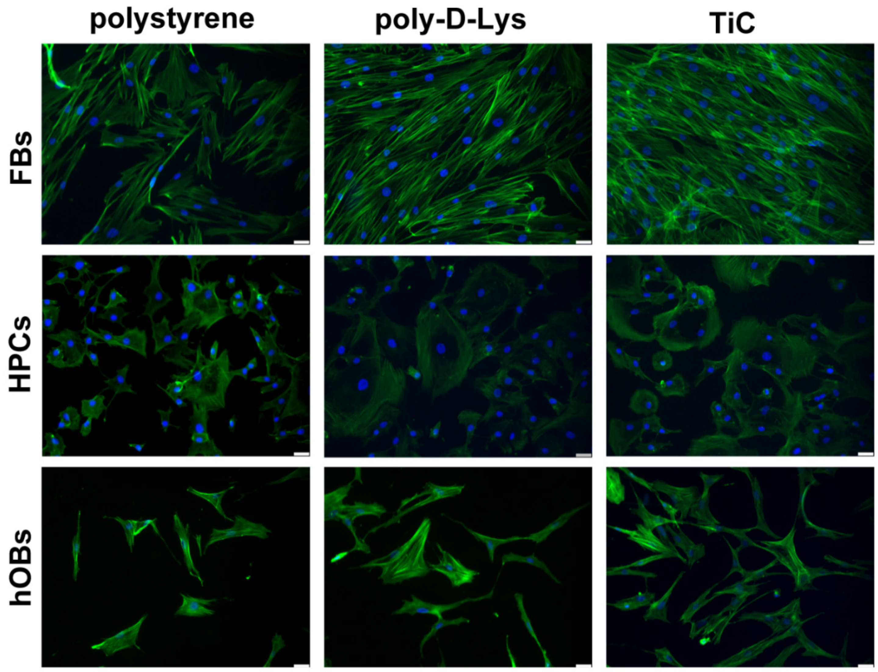 Condensedmatter 05 00029 g001