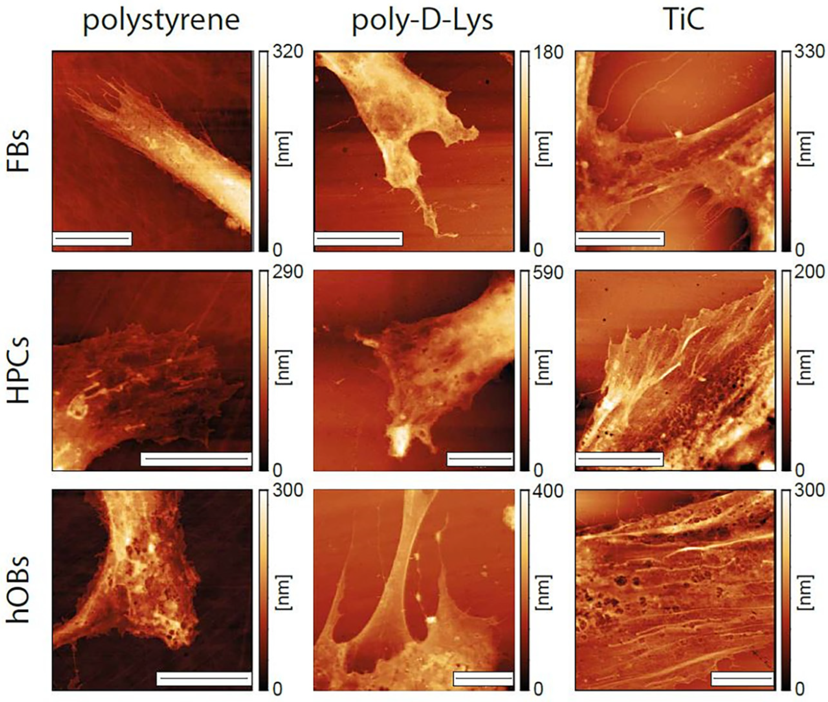 Condensedmatter 05 00029 g004