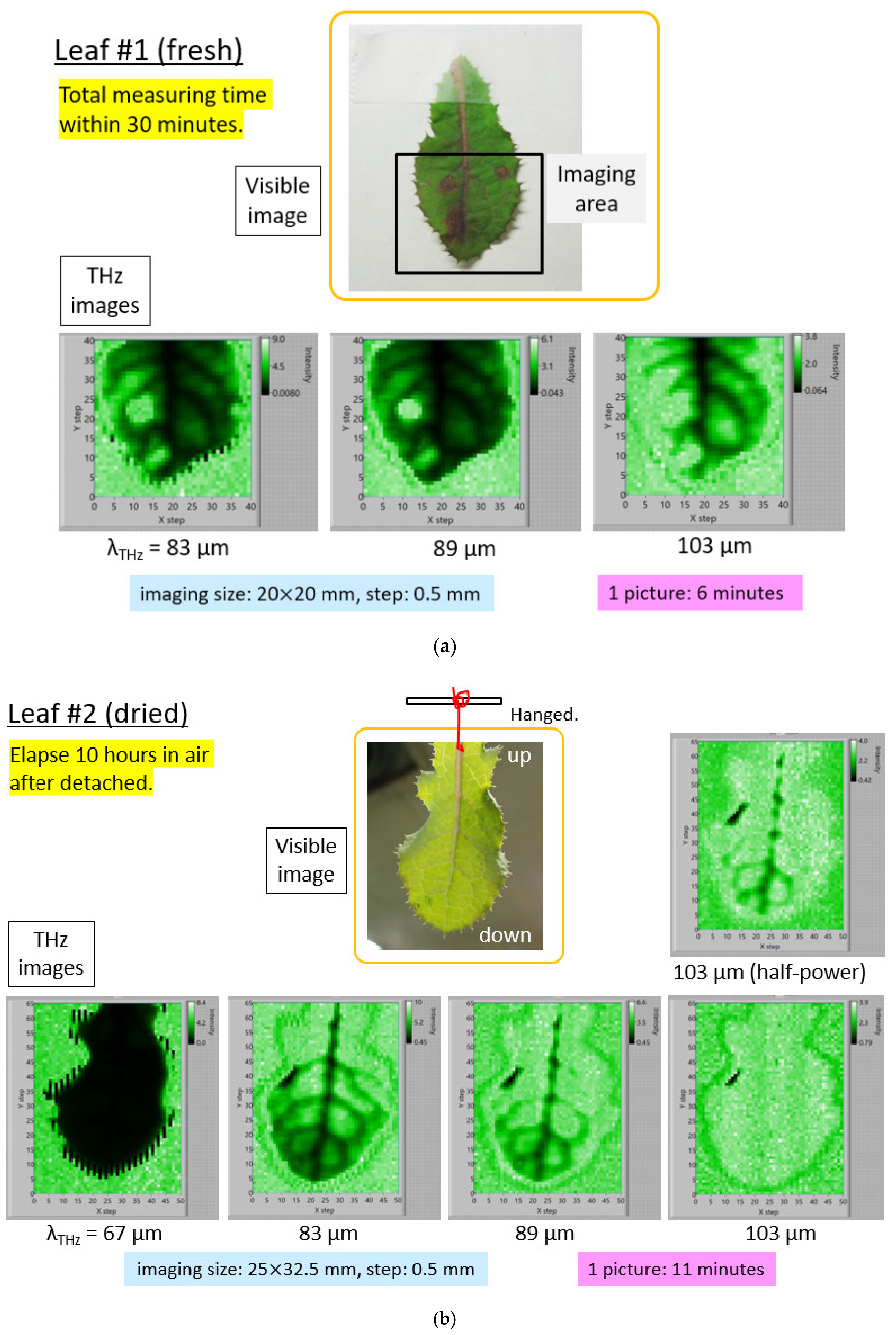 Condensedmatter 05 00038 g008