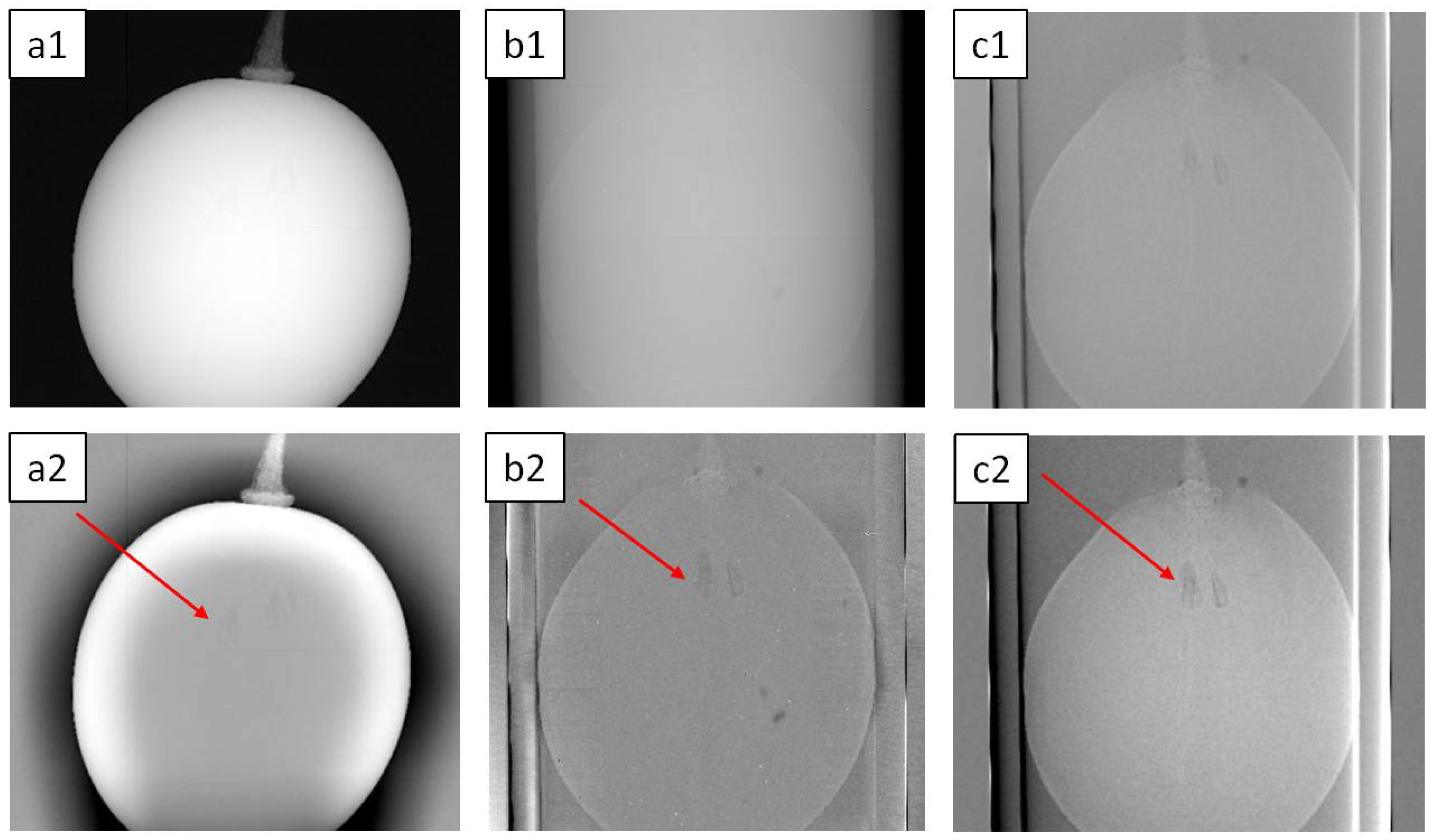 Condensedmatter 07 00003 g004