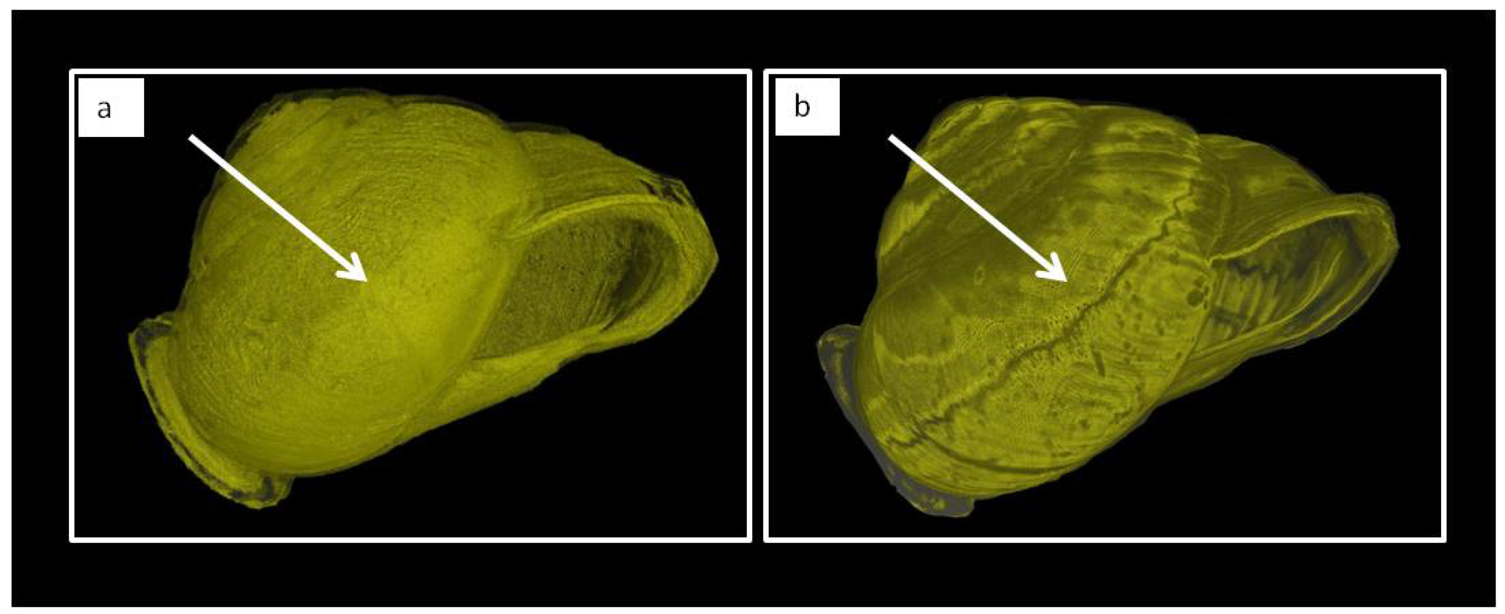 Condensedmatter 07 00003 g008