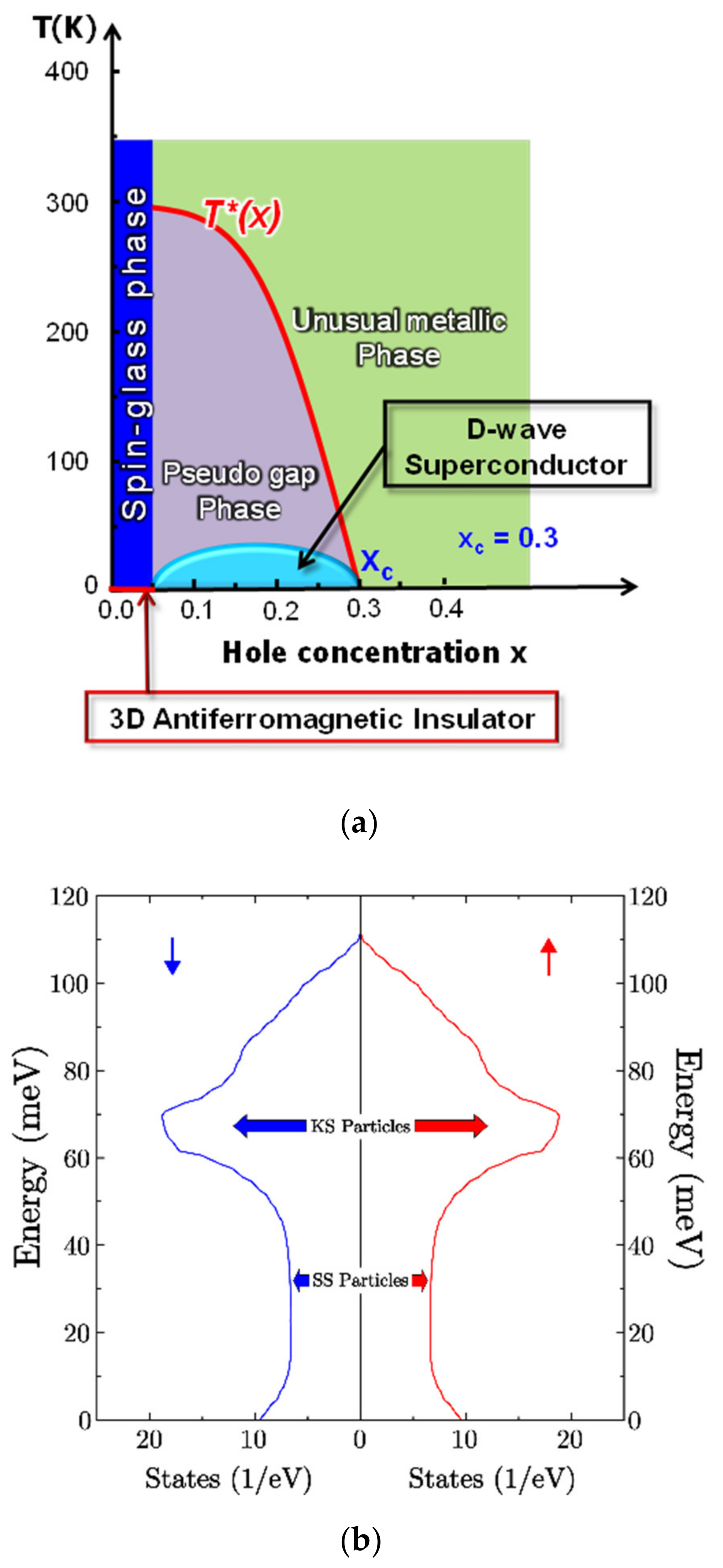 Condensedmatter 08 00033 g005