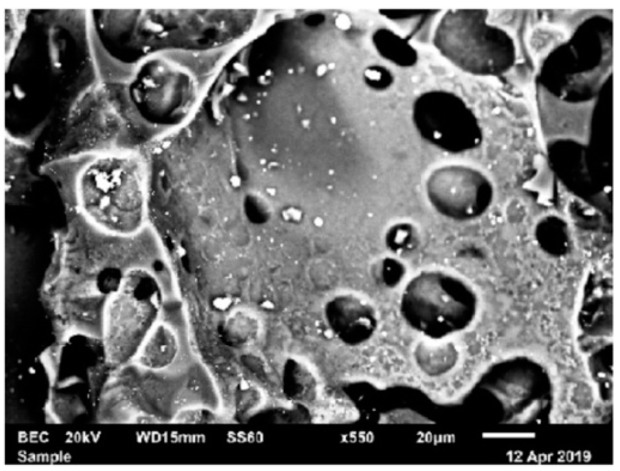 Condensedmatter 08 00037 g001