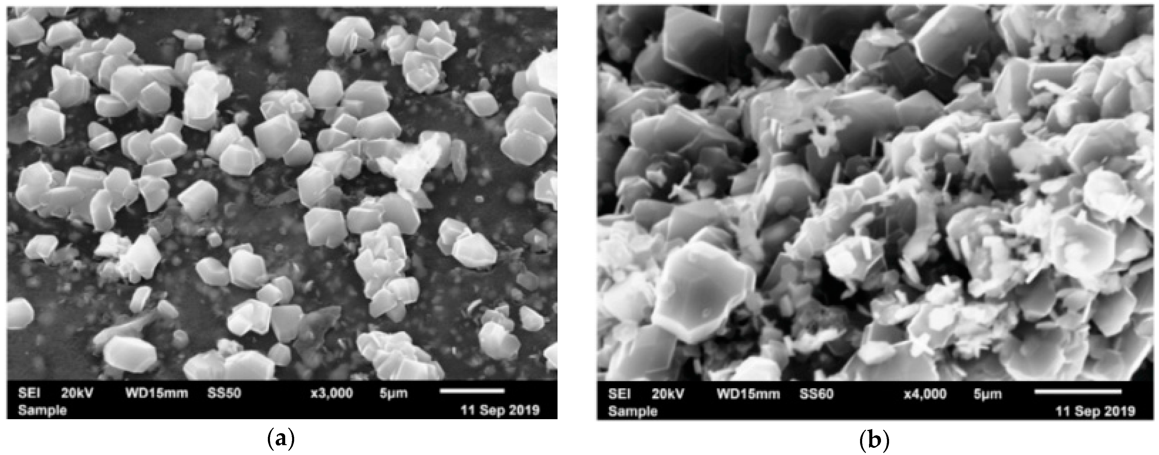 Condensedmatter 08 00037 g010