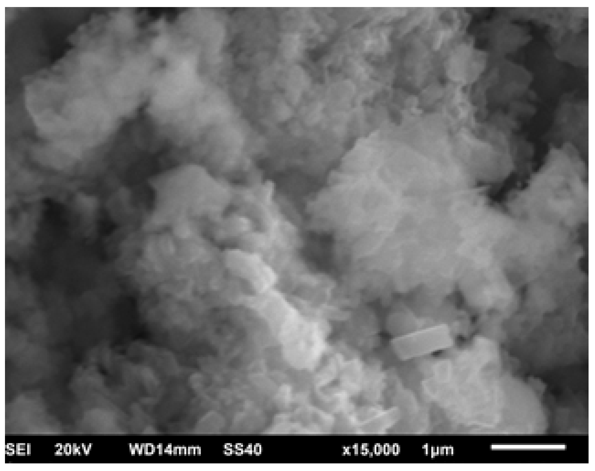 Condensedmatter 08 00037 g012