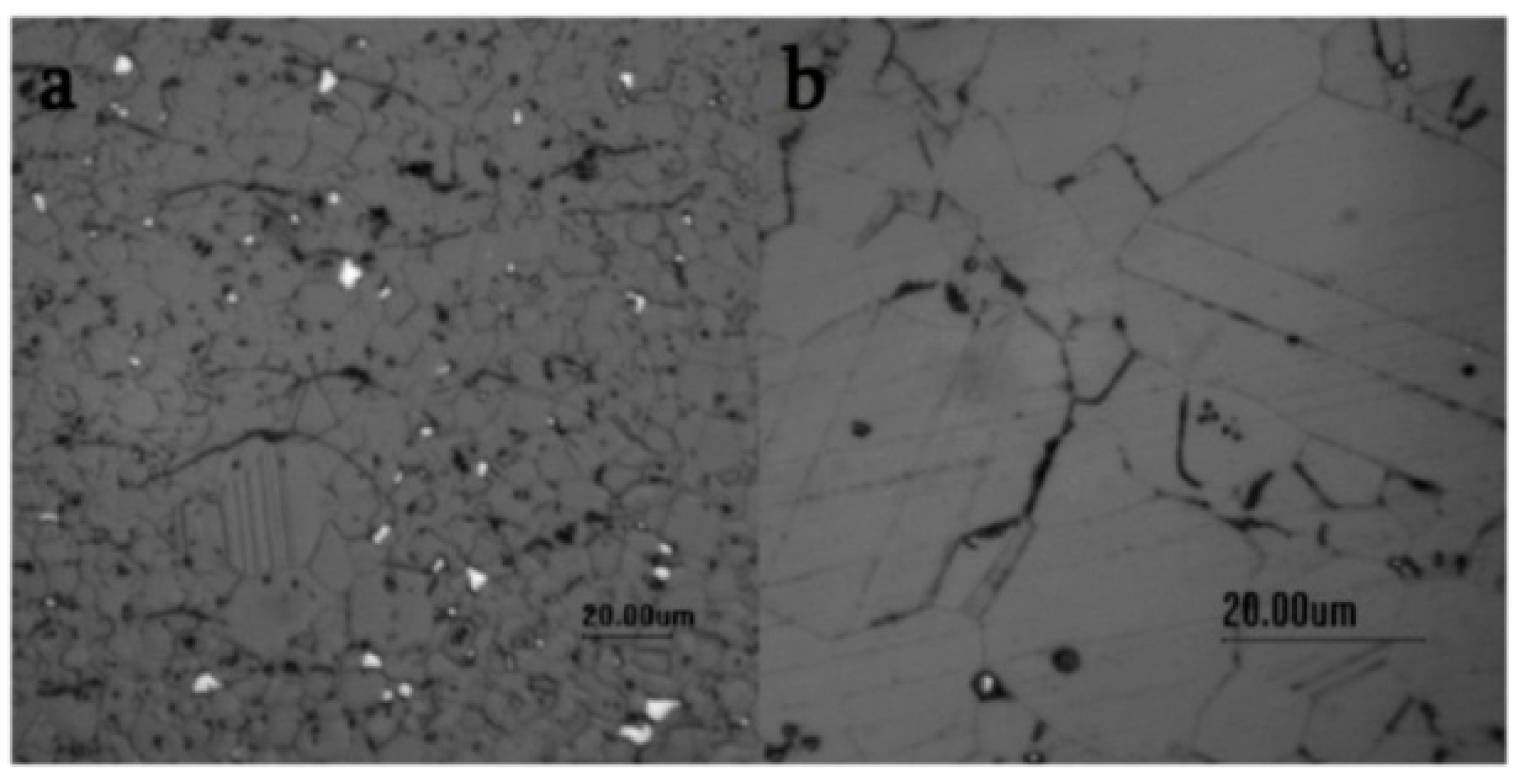Condensedmatter 08 00037 g014