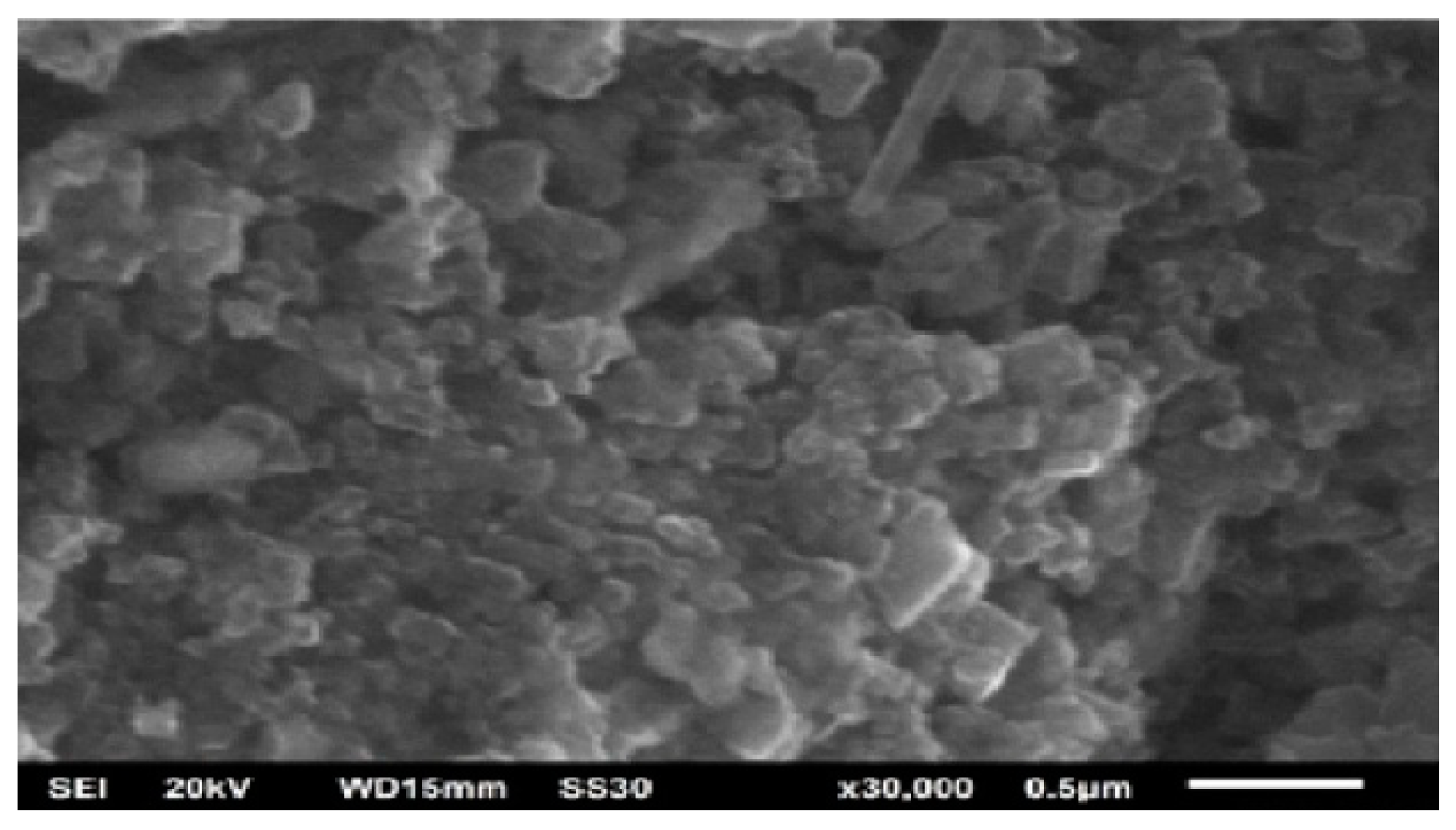 Condensedmatter 08 00037 g040