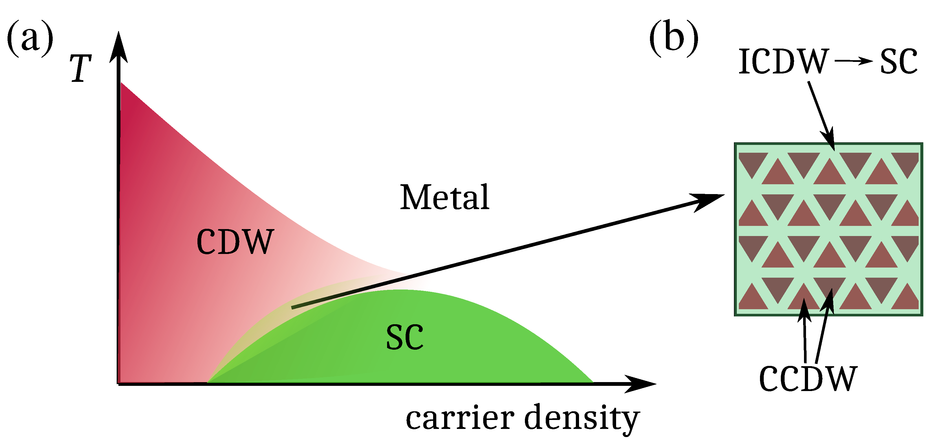 Condensedmatter 08 00054 g001