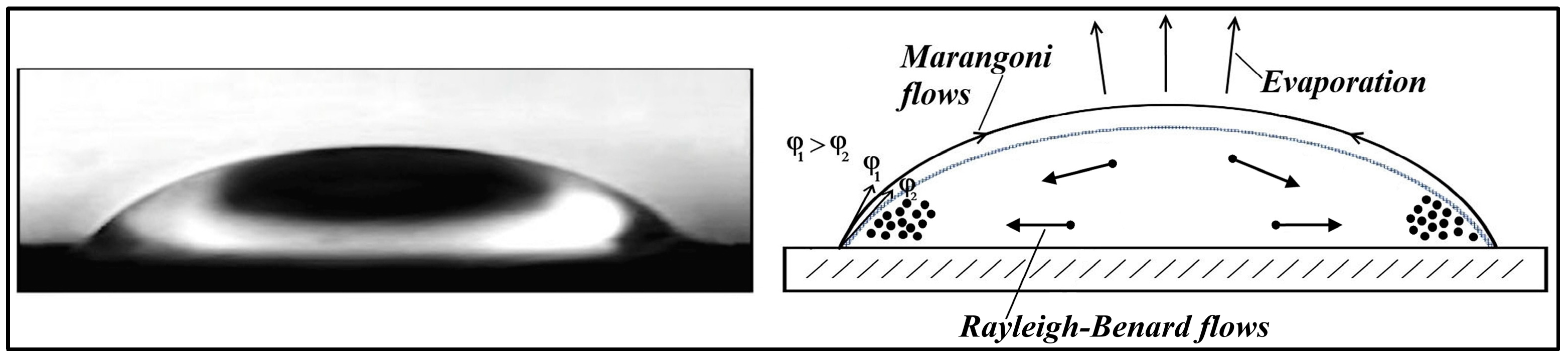 Condensedmatter 08 00062 g001 Condensedmatter 08 00062 g001