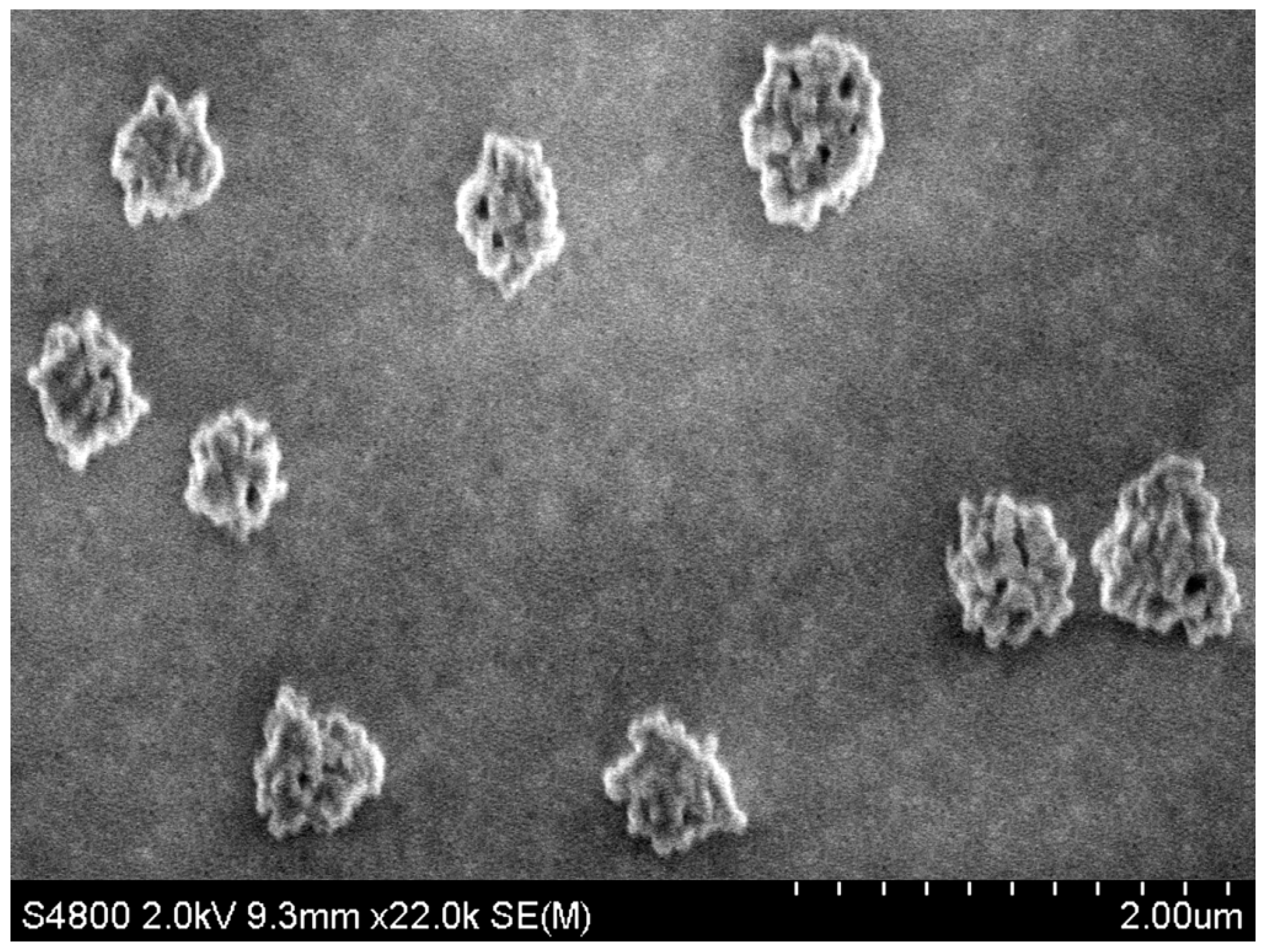 Condensedmatter 08 00062 g002 Condensedmatter 08 00062 g002