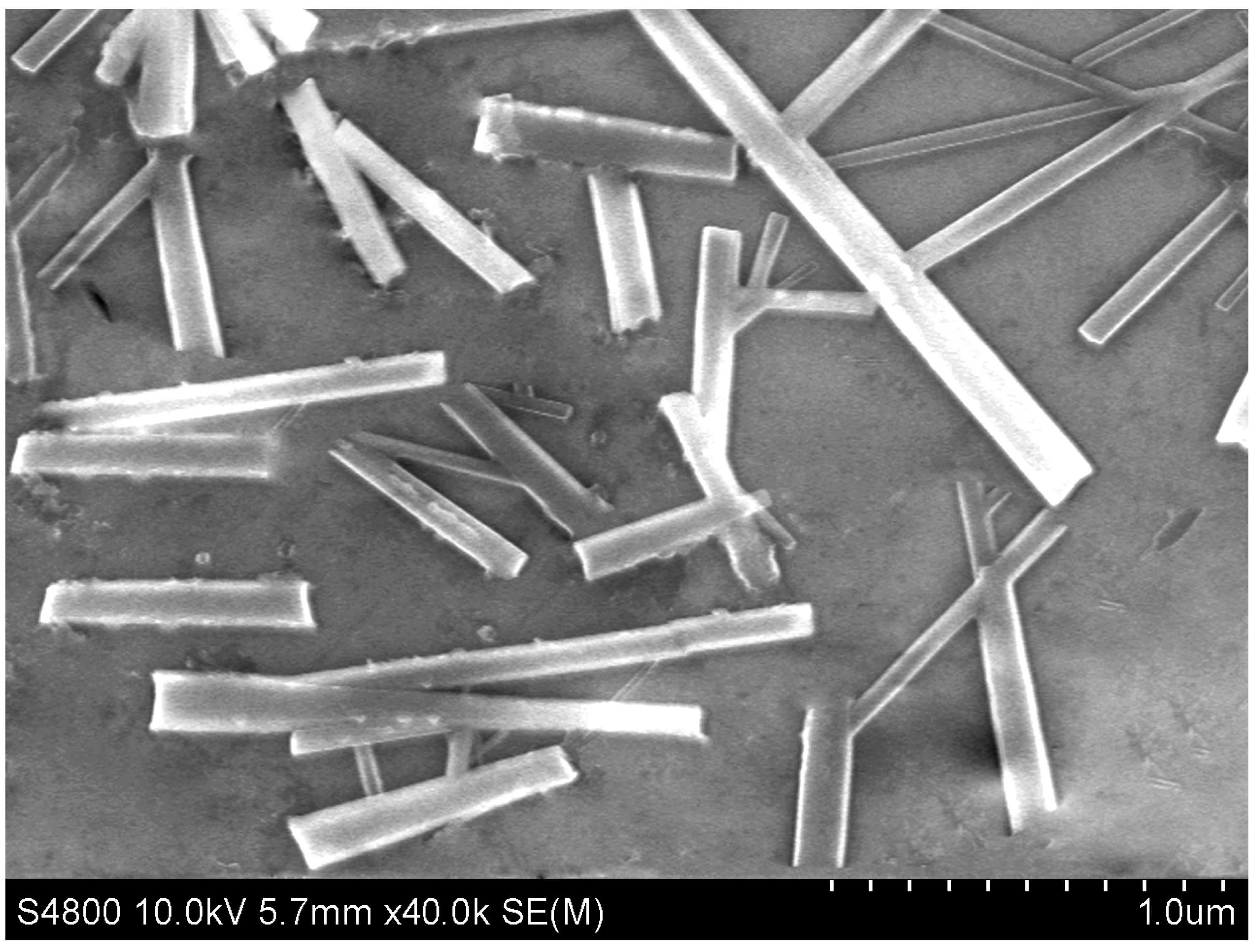 Condensedmatter 08 00062 g003 Condensedmatter 08 00062 g003