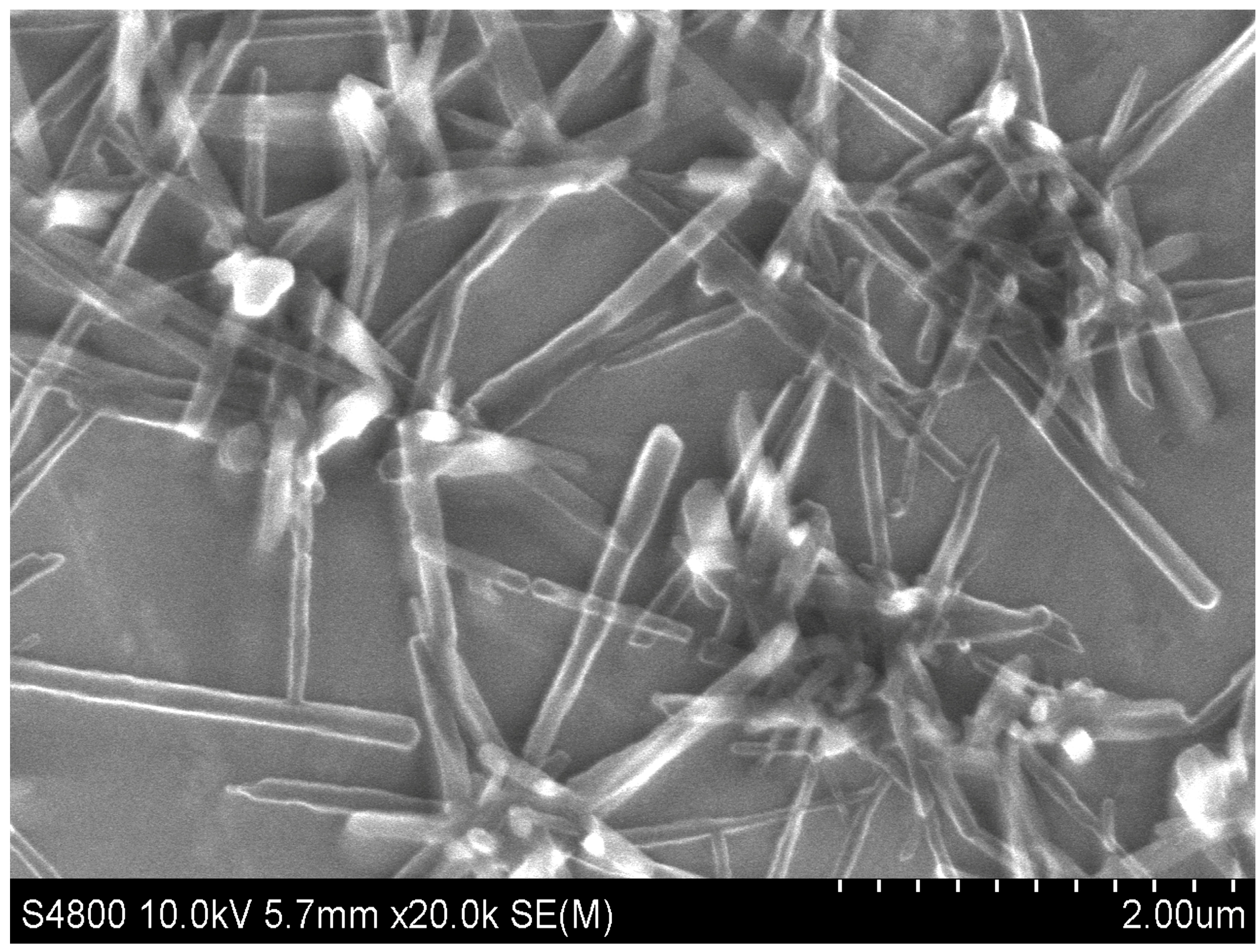 Condensedmatter 08 00062 g004 Condensedmatter 08 00062 g004