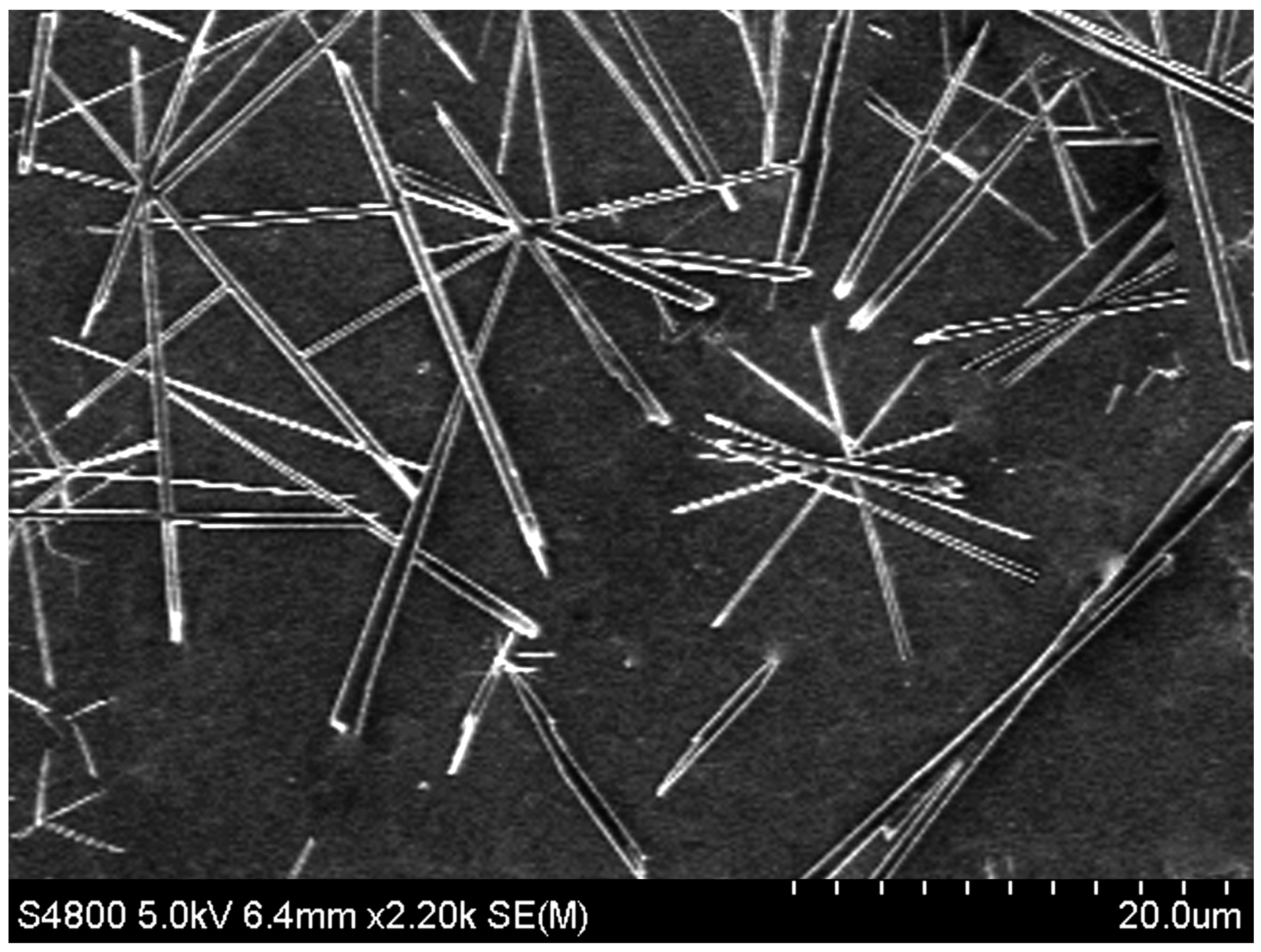 Condensedmatter 08 00062 g005 Condensedmatter 08 00062 g005