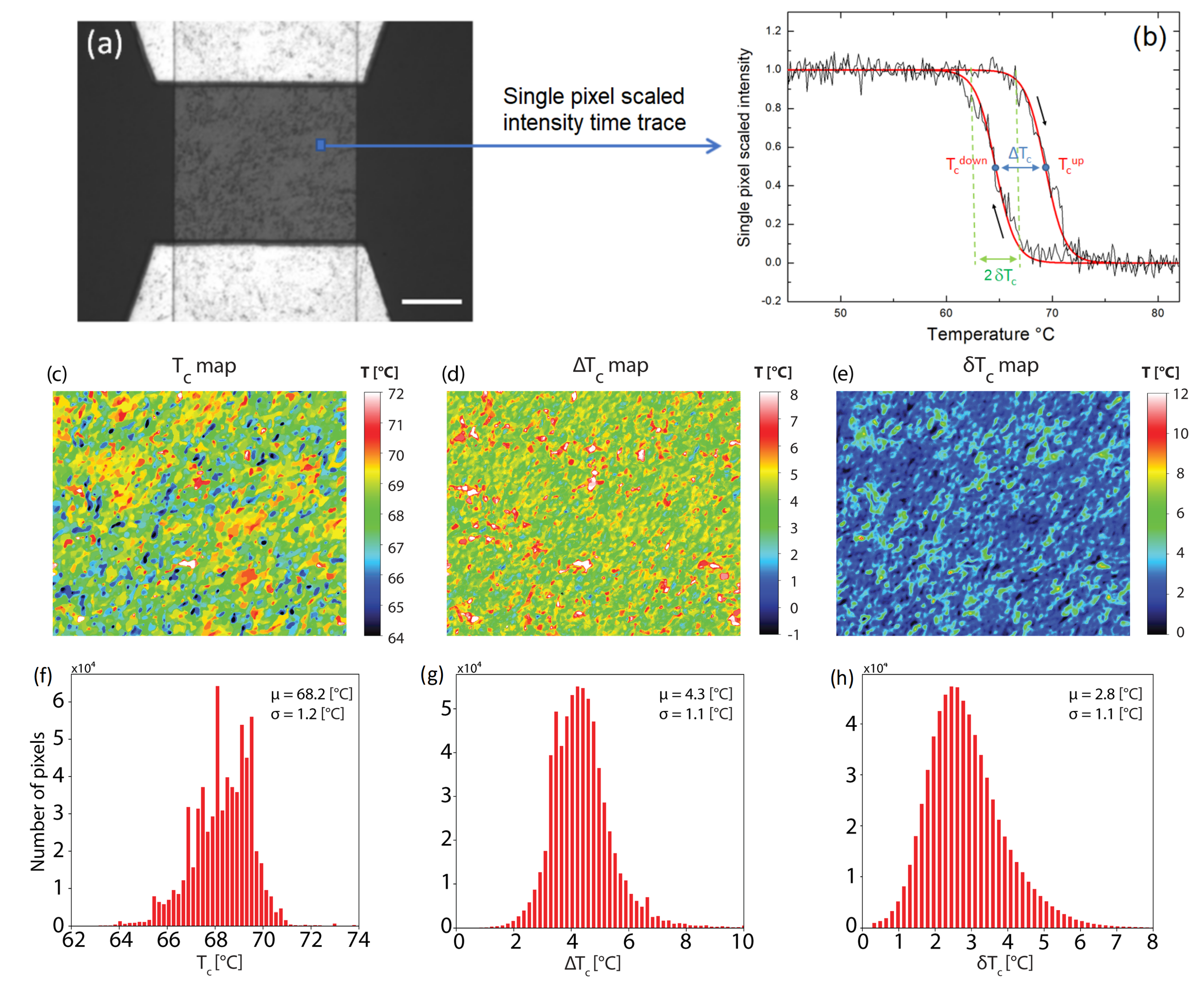Condensedmatter 10 00012 g003
