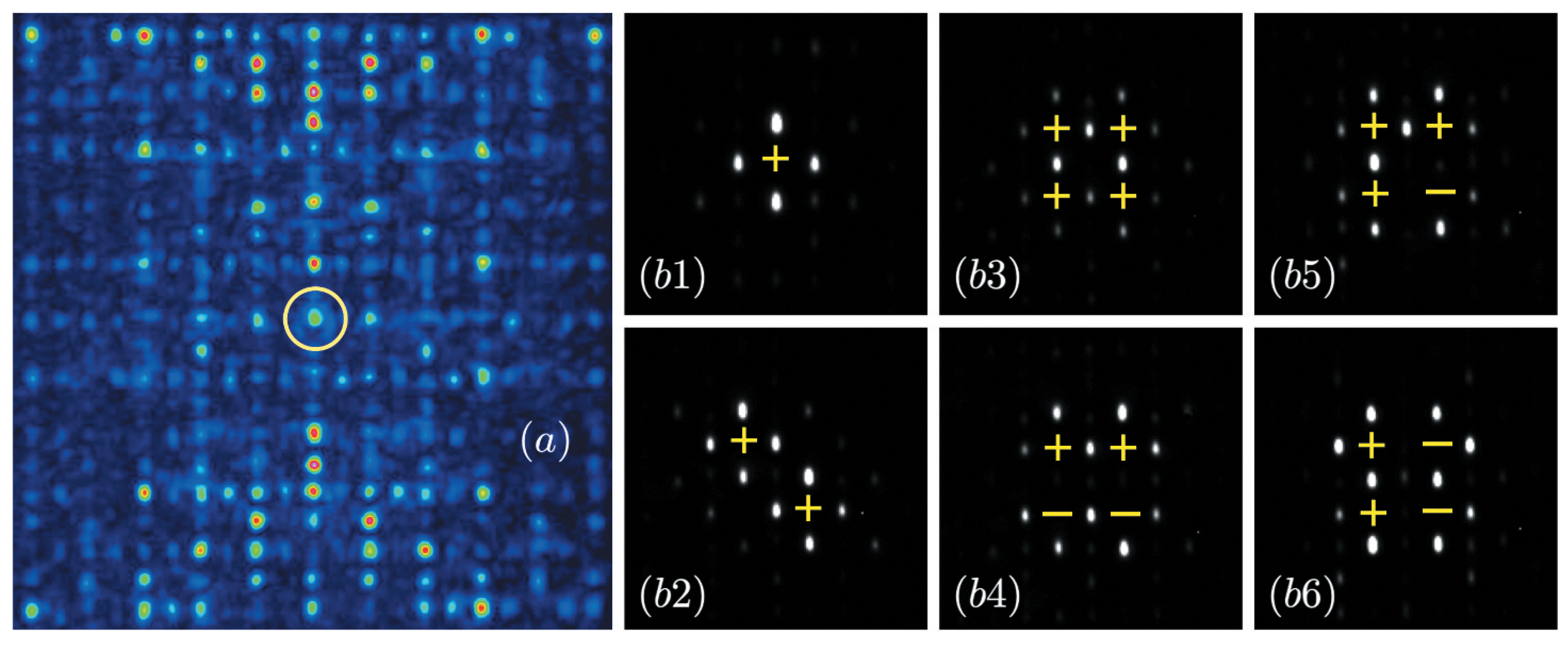 Condensedmatter 10 00064 g011