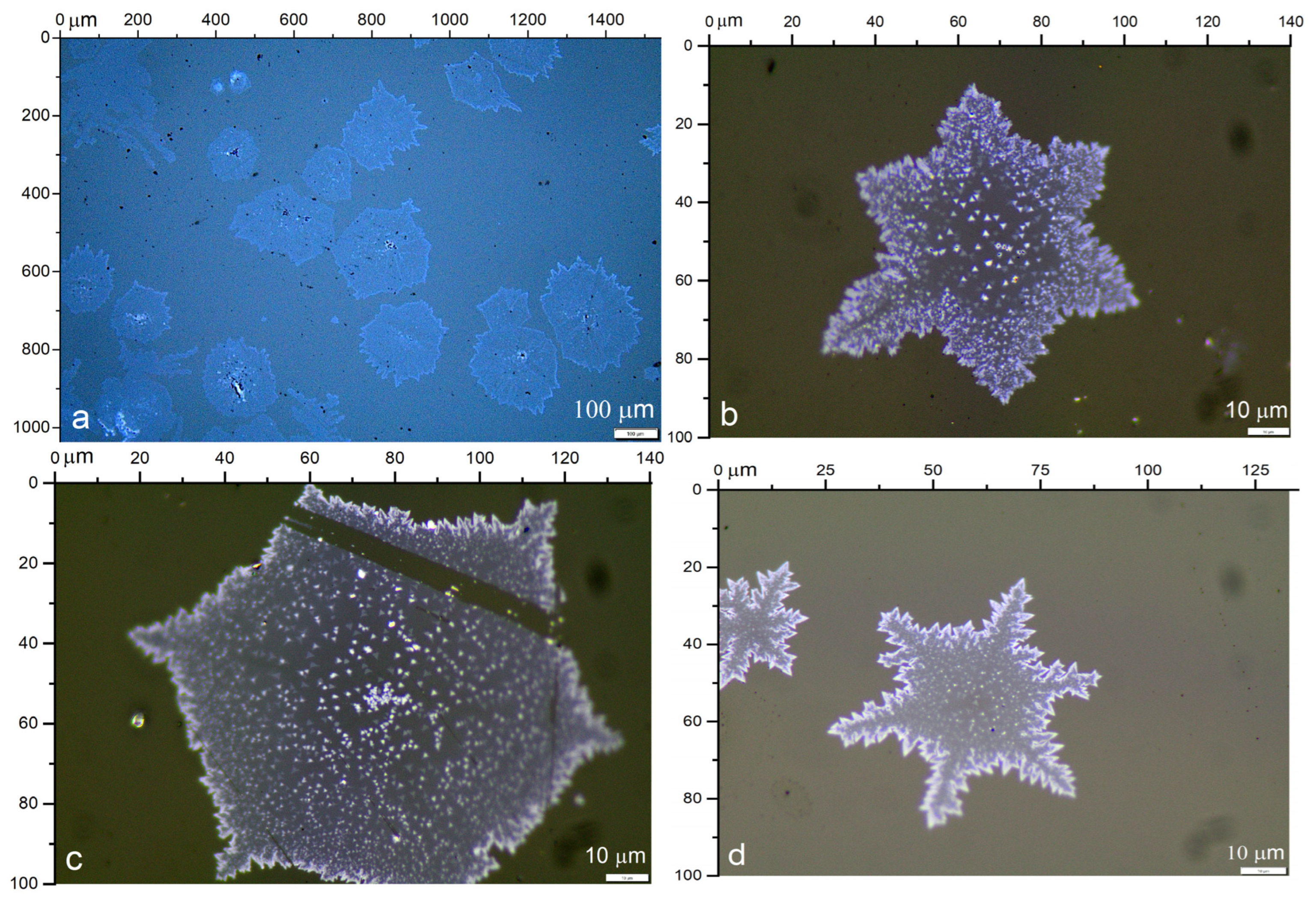 Condensedmatter 11 00014 g001 Condensedmatter 11 00014 g001