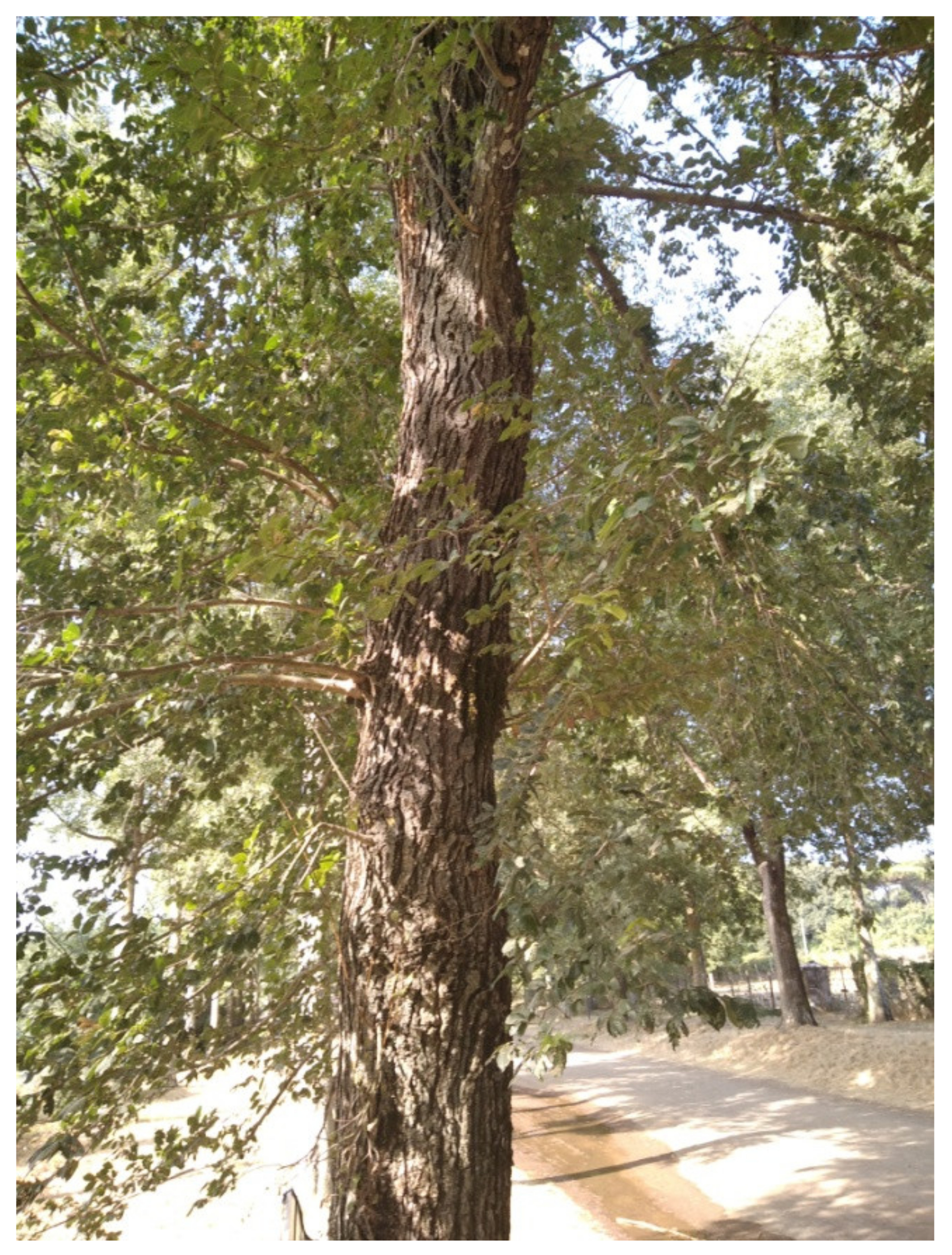 Conservation 02 00001 g001