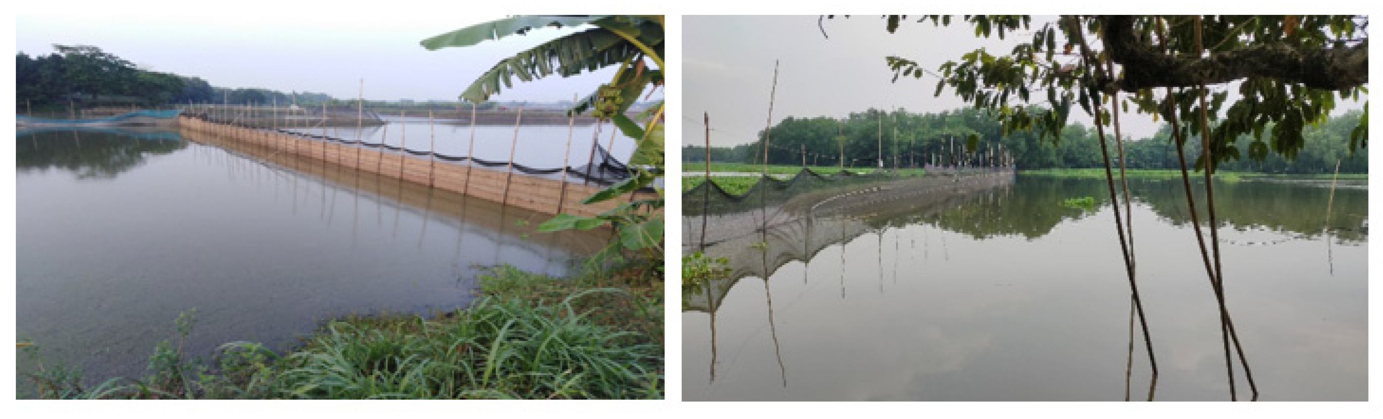 Conservation 02 00006 g002 Conservation 02 00006 g002