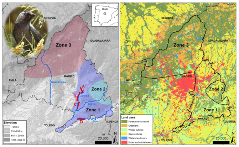 Conservation 02 00007 g001
