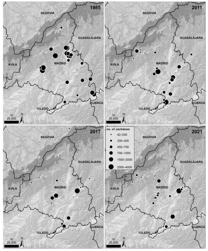 Conservation 02 00007 g006