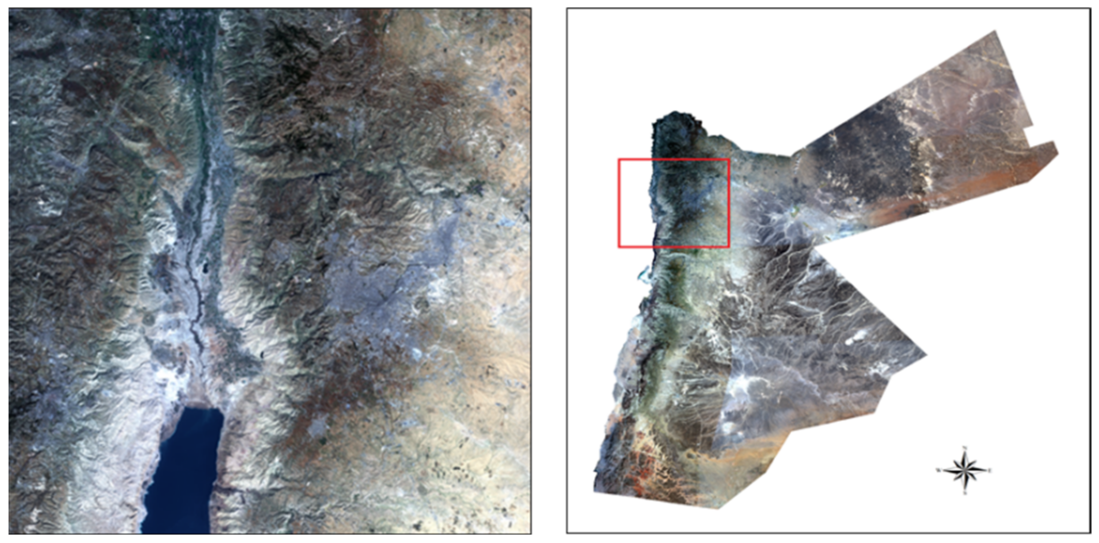 Conservation 02 00012 g003