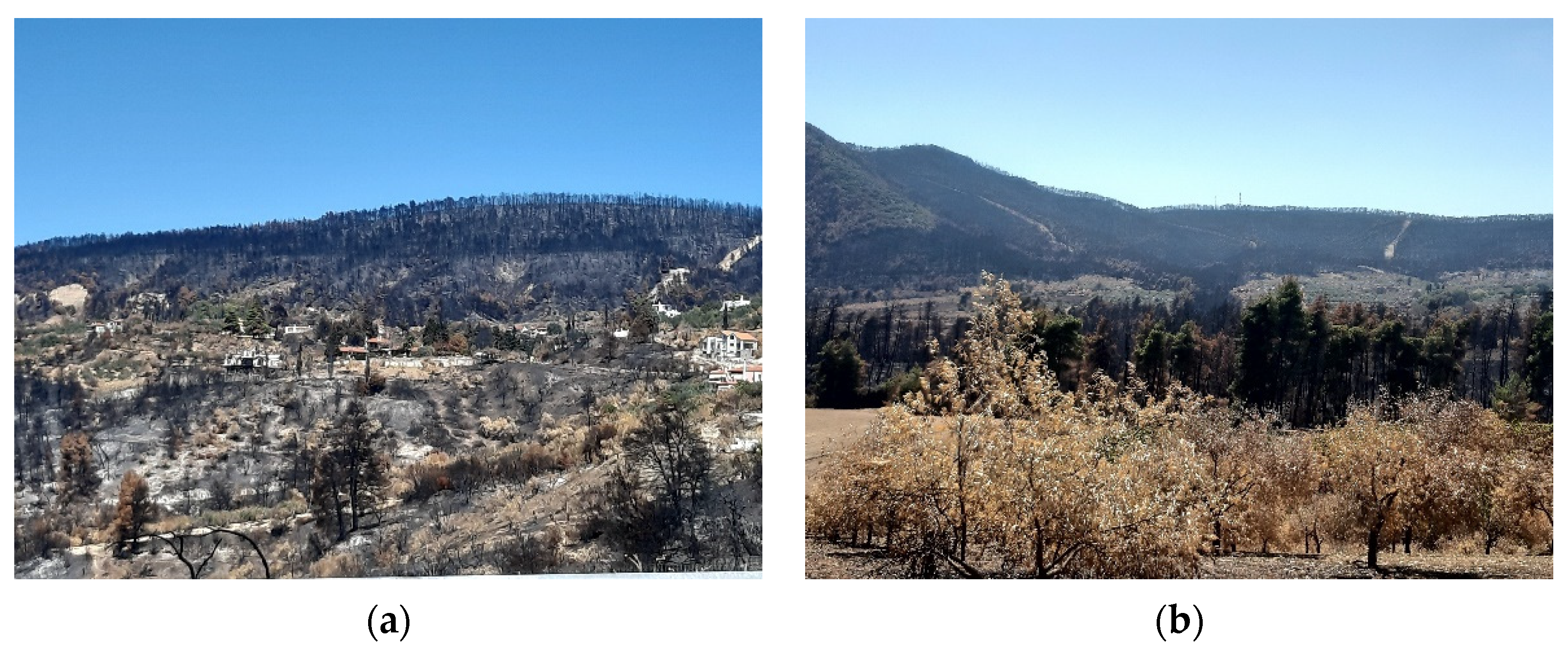 Conservation 02 00013 g016