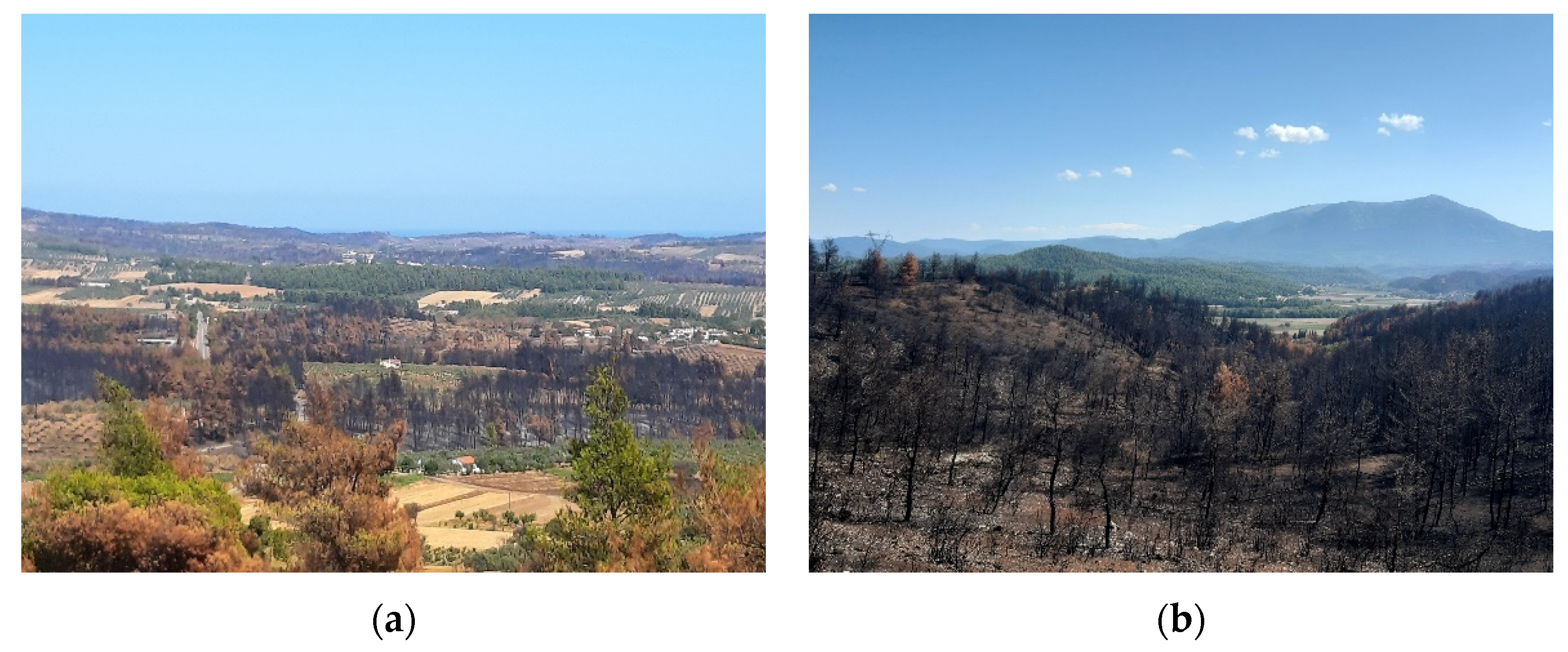 Conservation 02 00013 g017