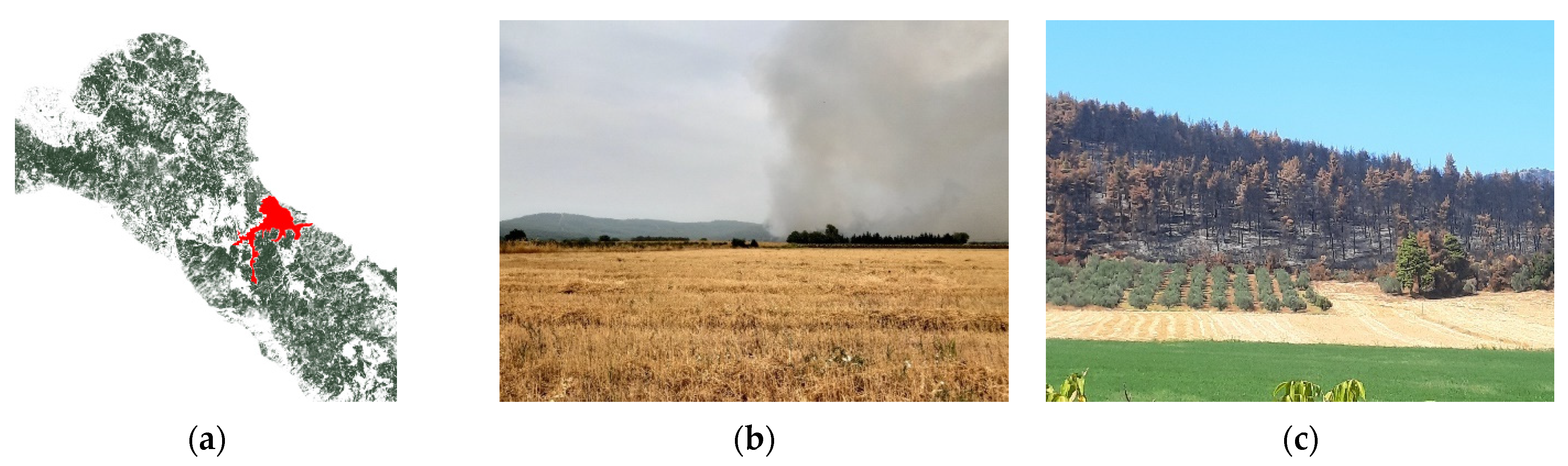 Conservation 02 00013 g018