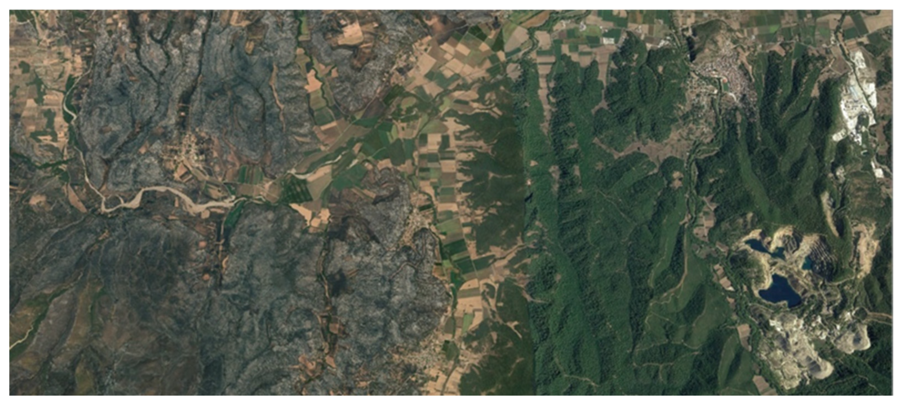 Conservation 02 00013 g019