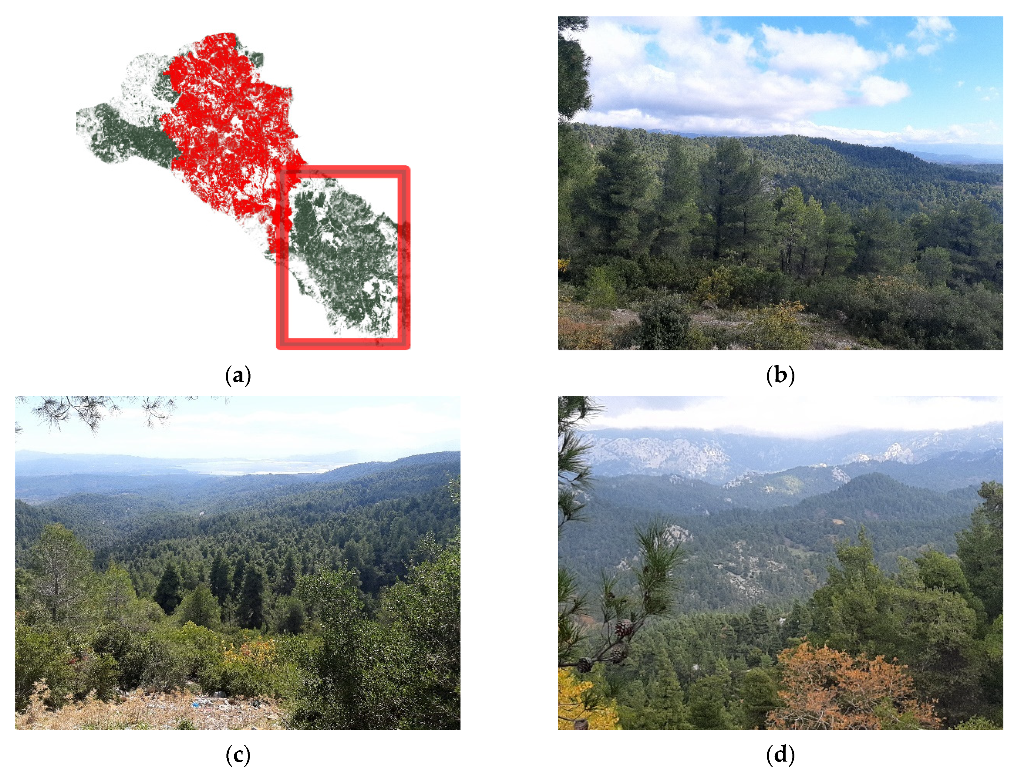 Conservation 02 00013 g021